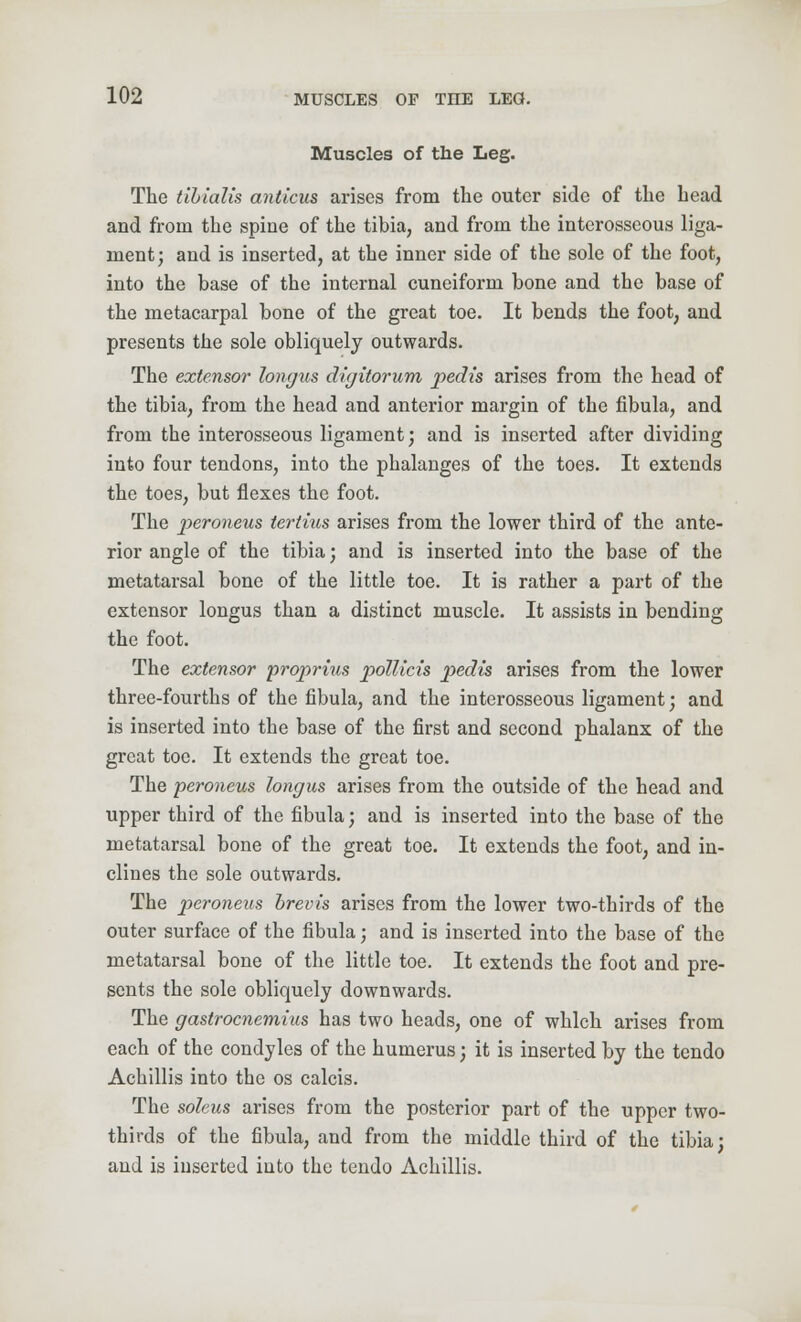 Muscles of the Leg. The tibialis anticus arises from the outer side of the bead and from the spine of the tibia, and from the interosseous liga- ment; and is inserted, at tbe inner side of the sole of tbe foot, into tbe base of tbe internal cuneiform bone and tbe base of tbe metacarpal bone of tbe great toe. It bends tbe foot, and presents the sole obliquely outwards. The extensor longus digitorum pedis arises from the head of the tibia, from the head and anterior margin of the fibula, and from the interosseous ligament; and is inserted after dividing into four tendons, into the phalanges of the toes. It extends the toes, but flexes the foot. The peroneus teriius arises from the lower third of the ante- rior angle of the tibia; and is inserted into the base of the metatarsal bone of the little toe. It is rather a part of the extensor longus than a distinct muscle. It assists in bending the foot. The extensor proprius pollicis pedis arises from the lower three-fourths of the fibula, and the interosseous ligament; and is inserted into the base of the first and second phalanx of the great toe. It extends the great toe. The peroneus longus arises from the outside of the head and upper third of the fibula; and is inserted into the base of the metatarsal bone of the great toe. It extends the foot, and in- clines the sole outwards. The peroneus brevis arises from the lower two-thirds of the outer surface of the fibula; and is inserted into the base of the metatarsal bone of the little toe. It extends the foot and pre- sents the sole obliquely downwards. The gastrocnemius has two heads, one of which arises from each of the condyles of the humerus; it is inserted by the tendo Achillis into the os calcis. The soleus arises from the posterior part of the upper two- thirds of the fibula, and from the middle third of the tibia; and is inserted into the tendo Achillis.