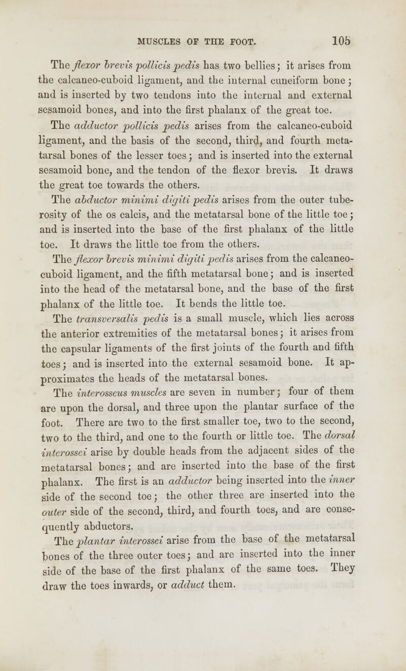 The flexor brevis pollicis pedis has two bellies; it arises from the calcaneocuboid ligament, and the internal cuneiform bone; and is inserted by two tendons into the internal and external sesamoid bones, and into the first phalanx of the great toe. The adductor pollicis pedis arises from the calcaneo-cuboid ligament, and the basis of the second, third, and fourth meta- tarsal bones of the lesser toes; and is inserted into the external sesamoid bone, and the tendon of the flexor brevis. It draws the great toe towards the others. The abductor minimi digiti pedis arises from the outer tube- rosity of the os calcis, and the metatarsal bone of the little toe; and is inserted into the base of the first phalanx of the little toe. It draws the little toe from the others. The flexor brevis minimi digiti pedis arises from the calcaneo- cuboid ligament, and the fifth metatarsal bone; and is inserted into the head of the metatarsal bone, and the base of the first phalanx of the little toe. It bends the little toe. The transversalis pedis is a small muscle, which lies across the anterior extremities of the metatarsal bones; it arises from the capsular ligaments of the first joints of the fourth and fifth toes; and is inserted into the external sesamoid bone. It ap- proximates the heads of the metatarsal bones. The interosseus muscles are seven in number; four of them are upon the dorsal, and three upon the plantar surface of the foot. There are two to the first smaller toe, two to the second, two to the third, and one to the fourth or little toe. The dorsal interossei arise by double heads from the adjacent sides of the metatarsal bones; and are inserted into the base of the first phalanx. The first is an adductor being inserted into the inner side of the second toe; the other three are inserted into the outer side of the second, third, and fourth toes, and are conse- quently abductors. The plantar interossei arise from the base of the metatarsal bones of the three outer toes; and are inserted into the inner side of the base of the first phalanx of the same toes. They draw the toes inwards, or adduct them.