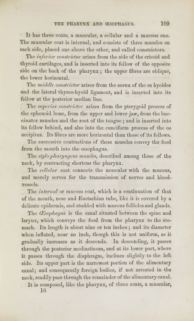 It has three coats, a muscular, a cellular and a mucous one. The muscular coat is internal, and consists of three muscles on each side, placed one above the other, and called constrictors. The inferior constrictor arises from the side of the cricoid and thyroid cartilages, and is inserted into its fellow of the opposite side on the back of the pharynx; the upper fibres are oblique, the lower horizontal. The middle constrictor arises from the cornu of the os hyoides and the lateral thyreo-hyoid ligament, and is inserted into its fellow at the posterior median line. The superior constrictor arises from the pterygoid process of the sphenoid bone, from the upper and lower jaw, from the buc- cinator muscles and the root of the tongue; and is inserted into its fellow behind, and also into the cuneiform process of the os occipitus. Its fibres are more horizontal than those of its fellows. The successive contractions of these muscles convey the food from the mouth into the oesophagus. The stylo-pharyngeus muscles, described among those of the neck, by contracting shortens the pharynx. The cellular coat connects the muscular with the mucous, and merely serves for the transmission of nerves and blood- vessels. The internal or mucous coat, which is a continuation of that of the mouth, nose and Eustachian tube, like it is covered by a delicate epidermis, and studded with mucous follicles and glands. The (Esophagus is the canal situated between the spine and larynx, which conveys the food from the pharynx to the sto- mach. Its length is about nine or ten inches; and its diameter when inflated, near an inch, though this is not uniform, as it gradually increases as it descends. In descending, it passes through the posterior mediastinum, and at its lower part, where it passes through the diaphragm, inclines slightly to the left side. Its upper part is the narrowest portion of the alimentary canal; and consequently foreign bodies, if not arrested in the neck, readily pass through the remainder of the alimentary canal. It is composed, like the pharynx, of three coats, a muscular, 1G