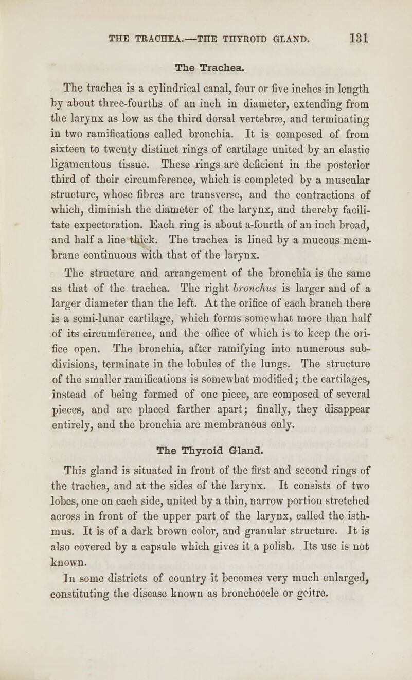 The Trachea. The trachea is a cylindrical canal, four or five inches in length by about three-fourths of an inch in diameter, extending from the larynx as low as the third dorsal vertebrae, and terminating in two ramifications called bronchia. It is composed of from sixteen to twenty distinct rings of cartilage united by an elastic ligamentous tissue. These rings are deficient in the posterior third of their circumference, which is completed by a muscular structure, whose fibres are transverse, and the contractions of which, diminish the diameter of the larynx, and thereby facili- tate expectoration. Each ring is about a-fourth of an inch broad, and half a line thick. The trachea is lined by a mucous mem- brane continuous with that of the larynx. The structure and arrangement of the bronchia is the same as that of the trachea. The right bronchus is larger and of a larger diameter than the left. At the orifice of each branch there is a semi-lunar cartilage, which forms somewhat more than half of its circumference, and the office of which is to keep the ori- fice open. The bronchia, after ramifying into numerous sub- divisions, terminate in the lobules of the lungs. The structure of the smaller ramifications is somewhat modified; the cartilages, instead of being formed of one piece, are composed of several pieces, and are placed farther apart; finally, they disappear entirely, and the bronchia are membranous only. The Thyroid Gland. This gland is situated in front of the first and second rings of the trachea, and at the sides of the larynx. It consists of two lobes, one on each side, united by a thin, narrow portion stretched across in front of the upper part of the larynx, called the isth- mus. It is of a dark brown color, and granular structure. It is also covered by a capsule which gives it a polish. Its use is not known. In some districts of country it becomes very much enlarged, constituting the disease known as bronchocele or goitre.