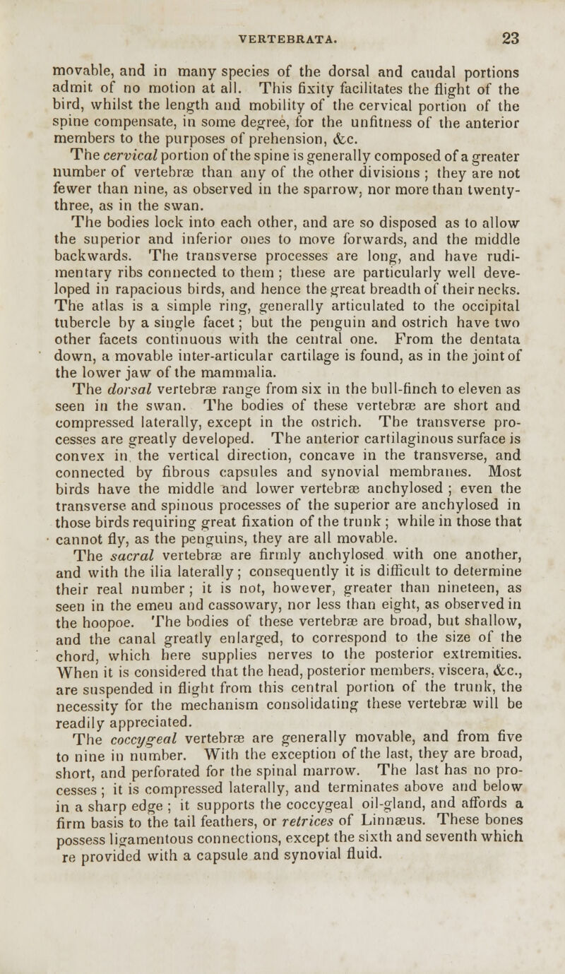 movable, and in many species of the dorsal and caudal portions admit of no motion at all. This fixity facilitates the flight of the bird, whilst the length and mobility of the cervical portion of the spine compensate, in some degree, for the unfitness of the anterior members to the purposes of prehension, (fee. The cervical portion of the spine is generally composed of a greater number of vertebrae than any of the other divisions ; they are not fewer than nine, as observed in the sparrow, nor more than twenty- three, as in the swan. The bodies lock into each other, and are so disposed as to allow the superior and inferior ones to move forwards, and the middle backwards. The transverse processes are long, and have rudi- mentary ribs connected to them ; these are particularly well deve- loped in rapacious birds, and hence the great breadth of their necks. The atlas is a simple ring, generally articulated to the occipital tubercle by a single facet; but the penguin and ostrich have two other facets continuous with the central one. From the dentata down, a movable inter-articular cartilage is found, as in the joint of the lower jaw of the mammalia. The dorsal vertebrae range from six in the bull-finch to eleven as seen in the swan. The bodies of these vertebrae are short and compressed laterally, except in the ostrich. The transverse pro- cesses are greatly developed. The anterior cartilaginous surface is convex in the vertical direction, concave in the transverse, and connected by fibrous capsules and synovial membranes. Most birds have the middle and lower vertebrae anchylosed ; even the transverse and spinous processes of the superior are anchylosed in those birds requiring great fixation of the trunk ; while in those that cannot fly, as the penguins, they are all movable. The sacral vertebrae are firmly anchylosed with one another, and with the ilia laterally; consequently it is difficult to determine their real number; it is not, however, greater than nineteen, as seen in the emeu and cassowary, nor less than eight, as observed in the hoopoe. The bodies of these vertebrae are broad, but shallow, and the canal greatly enlarged, to correspond to the size of the chord, which here supplies nerves to the posterior extremities. When it is considered that the head, posterior members, viscera, &c, are suspended in flight from this central portion of the trunk, the necessity for the mechanism consolidating these vertebrae will be readily appreciated. The coccygeal vertebrae are generally movable, and from five to nine in number. With the exception of the last, they are broad, short, and perforated for the spinal marrow. The last has no pro- cesses ; it is compressed laterally, and terminates above and below in a sharp edge ; it supports the coccygeal oil-gland, and affords a firm basis to the tail feathers, or retrices of Linnaeus. These bones possess ligamentous connections, except the sixth and seventh which re provided with a capsule and synovial fluid.