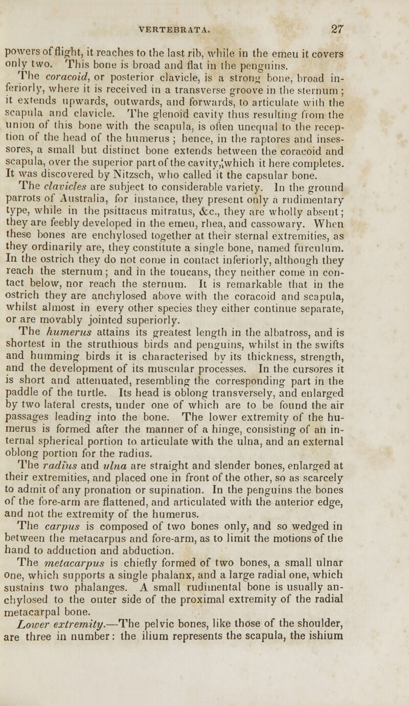 powers of flight, it reaches to the last rib, while in the emeu it covers only two. This bone is broad and flat in the penguins. The coracoid, or posterior clavicle, is a strong bone, broad in- feriorly, where it is received in a transverse groove in the sternum ; it extends upwards, outwards, and forwards, to articulate with the scapula and clavicle. The glenoid cavity thus resulting from the union of this bone with the scapula, is often unequal tothe recep- tion of the head of the humerus ; hence, in the raptores and inses- sores, a small but distinct bone extends between the coracoid and scapula, over the superior part of thecavity,'kwhich it here completes. It was discovered by Nitzsch, who called it the capsular bone. The clavicles are subject to considerable variety. In the ground parrots of Australia, for instance, they present only a rudimentary type, while in the psittacus mitratus, &c., they are wholly absent; they are feebly developed in the emeu, rhea, and cassowary. When these bones are enchylosed together at their sternal extremities, as they ordinarily are, they constitute a single bone, named furculum. In the ostrich they do not come in contact inferiorly, although they reach the sternum ; and in the toucans, they neither come in con- tact below, nor reach the sternum. It is remarkable that in the ostrich they are anchylosed above with the coracoid and scapula, whilst almost in every other species they either continue separate, or are movably jointed superiorly. The humerus attains its greatest length in the albatross, and is shortest in the struthious birds and penguins, whilst in the swifts and humming birds it is characterised by its thickness, strength, and the development of its muscular processes. In the cursores it is short and attenuated, resembling the corresponding part in the paddle of the turtle. Its head is oblong transversely, and enlarged by two lateral crests, under one of which are to be found the air passages leading into the bone. The lower extremity of the hu- merus is formed after the manner of a hinge, consisting of an in- ternal spherical portion to articulate with the ulna, and an external oblong portion for the radius. The radius and ulna are straight and slender bones, enlarged at their extremities, and placed one in front of the other, so as scarcely to admit of any pronation or supination. In the penguins the bones of the fore-arm are flattened, and articulated with the anterior edge, and not the extremity of the humerus. The carpus is composed of two bones only, and so wedged in between the metacarpus and fore-arm, as to limit the motions of the hand to adduction and abduction. The metacarpus is chiefly formed of two bones, a small ulnar one, which supports a single phalanx, and a large radial one, which sustains two phalanges. A small rudimental bone is usually an- chylosed to the outer side of the proximal extremity of the radial metacarpal bone. Lower extremity.—The pelvic bones, like those of the shoulder, are three in number: the ilium represents the scapula, the ishium