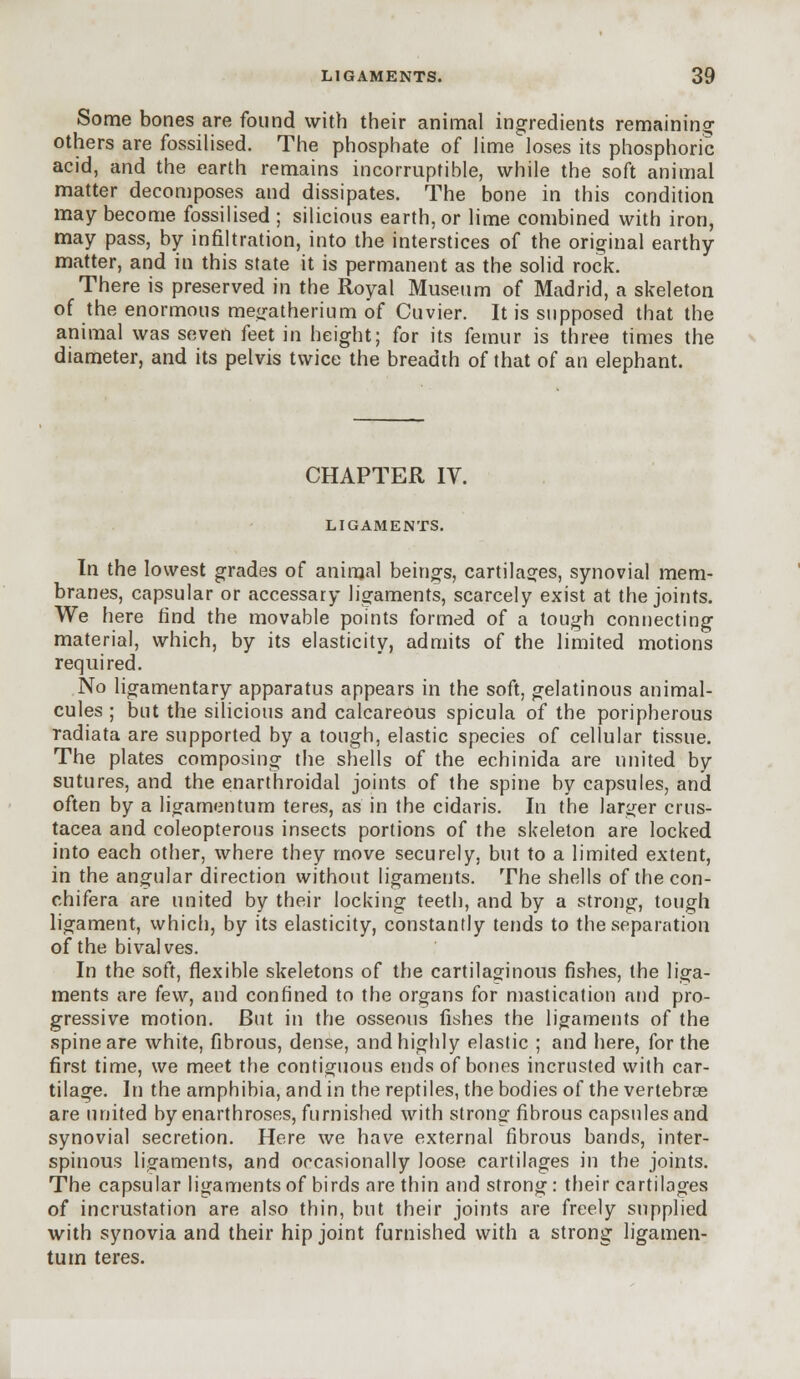 Some bones are found with their animal ingredients remaining others are fossilised. The phosphate of lime loses its phosphoric acid, and the earth remains incorruptible, while the soft animal matter decomposes and dissipates. The bone in this condition may become fossilised ; silicious earth, or lime combined with iron, may pass, by infiltration, into the interstices of the original earthy matter, and in this state it is permanent as the solid rock. There is preserved in the Royal Museum of Madrid, a skeleton of the enormous megatherium of Cuvier. It is supposed that the animal was seven feet in height; for its femur is three times the diameter, and its pelvis twice the breadth of that of an elephant. CHAPTER IV. LIGAMENTS. In the lowest grades of animal beings, cartilages, synovial mem- branes, capsular or accessary ligaments, scarcely exist at the joints. We here find the movable points formed of a tough connecting material, which, by its elasticity, admits of the limited motions required. No ligamentary apparatus appears in the soft, gelatinous animal- cules ; but the silicious and calcareous spicula of the poripherous radiata are supported by a tough, elastic species of cellular tissue. The plates composing the shells of the echinida are united by sutures, and the enarthroidal joints of the spine by capsules, and often by a ligamentum teres, as in the cidaris. In the larger Crus- tacea and coleopterous insects portions of the skeleton are locked into each other, where they move securely, but to a limited extent, in the angular direction without ligaments. The shells of the con- chifera are united by their locking teeth, and by a strong, tough ligament, which, by its elasticity, constantly tends to the separation of the bivalves. In the soft, flexible skeletons of the cartilaginous fishes, the liga- ments are few, and confined to the organs for mastication and pro- gressive motion. But in the osseous fishes the ligaments of the spine are white, fibrous, dense, and highly elastic ; and here, for the first time, we meet the contiguous ends of bones incrusted with car- tilage. In the amphibia, and in the reptiles, the bodies of the vertebras are united by enarthroses, furnished with strong fibrous capsules and synovial secretion. Here we have external fibrous bands, inter- spinous ligaments, and occasionally loose cartilages in the joints. The capsular ligaments of birds are thin and strong: their cartilages of incrustation are also thin, but their joints are freely supplied with synovia and their hip joint furnished with a strong ligamen- tum teres.