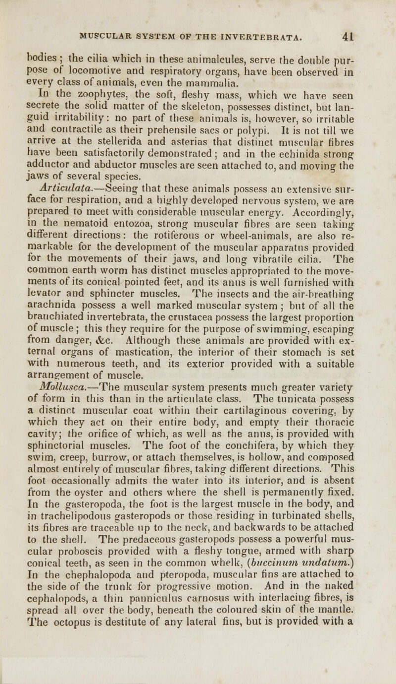 bodies ; the cilia which in these animalcules, serve the double pur- pose of locomotive and respiratory organs, have been observed in every class of animals, even the mammalia. In the zoophytes, the soft, fleshy mass, which we have seen secrete the solid matter of the skeleton, possesses distinct, but lan- guid irritability: no part of these animals is, however, so irritable and contractile as their prehensile sacs or polypi. It is not till we arrive at the stellerida and asterias that distinct muscular fibres have been satisfactorily demonstrated ; and in the echinida strong adductor and abductor muscles are seen attached to, and moving the jaws of several species. Articulata.—Seeing that these animals possess an extensive sur- face for respiration, and a highly developed nervous system, we are prepared to meet with considerable muscular energy. Accordingly, in the nematoid entozoa, strong muscular fibres are seen taking different directions: the rotiferous or wheel-animals, are also re- markable for the development of the muscular apparatus provided for the movements of their jaws, and long vibratile cilia. The common earth worm has distinct muscles appropriated to the move- ments of its conical pointed feet, and its anus is well furnished with levator and sphincter muscles. The insects and the air-breathing arachnida possess a well marked muscular system ; but of all the branchiated invertebrata, the Crustacea possess the largest proportion of muscle; this they require for the purpose of swimming, escaping from danger, &c. Although these animals are provided with ex- ternal organs of mastication, the interior of their stomach is set with numerous teeth, and its exterior provided with a suitable arrangement of muscle. Mollusca.—The muscular system presents much greater variety of form in this than in the articulate class. The tunicata possess a distinct muscular coat within their cartilaginous covering, by which they act on their entire body, and empty their thoracic cavity; the orifice of which, as well as the anus, is provided with sphinctorial muscles. The foot of the conchifera, by which they swim, creep, burrow, or attach themselves, is hollow, and composed almost entirely of muscular fibres, taking different directions. This foot occasionally admits the water into its interior, and is absent from the oyster and others where the shell is permanently fixed. In the gasteropoda, the foot is the largest muscle in the body, and in trachelipodous gasteropods or those residing in turbinated shells, its fibres are traceable up to the neck, and backwards to be attached to the shell. The predaceous gasteropods possess a powerful mus- cular proboscis provided with a fleshy tongue, armed with sharp conical teeth, as seen in the common whelk, (buccinum undatum.) In the chephalopoda and pteropoda, muscular fins are attached to the side of the trunk for progressive motion. And in the naked cephalopods, a thin panniculus carnosus with interlacing fibres, is spread all over the body, beneath the coloured skin of the mantle. The octopus is destitute of any lateral fins, but is provided with a