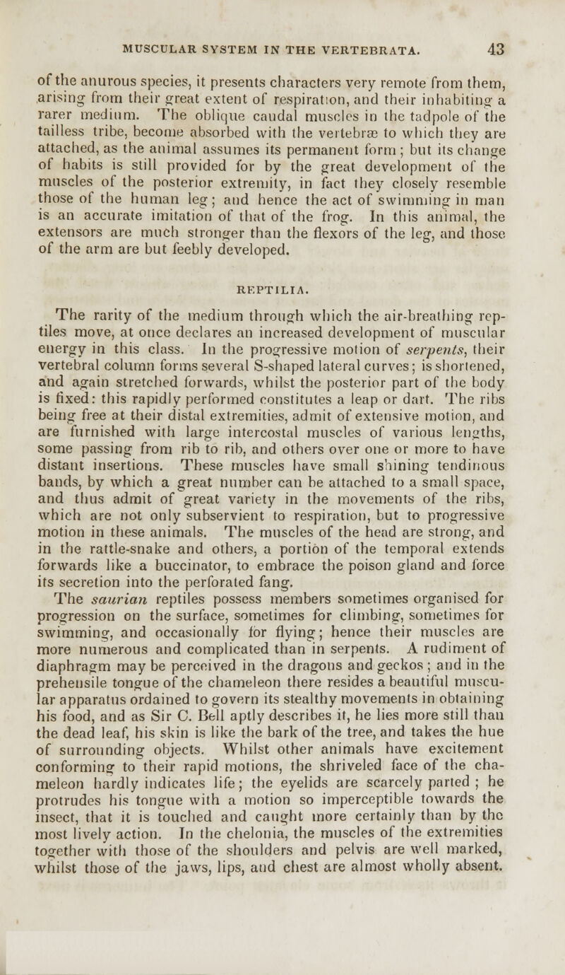 of the anurous species, it presents characters very remote from them, arising from their great extent of respiration, and their inhabiting a rarer medium. The oblique caudal muscles in the tadpole of the tailless tribe, become absorbed with the vertebras to which they are attached, as the animal assumes its permanent form ; but its change of habits is still provided for by the great development of the muscles of the posterior extremity, in fact they closely resemble those of the human leg; and hence the act of swimming in man is an accurate imitation of that of the frog. In this animal, the extensors are much stronger than the flexors of the leg, and those of the arm are but feebly developed. REPTILIA. The rarity of the medium through which the air-breathing rep- tiles move, at once declares an increased development of muscular energy in this class. In the progressive motion of serpents, their vertebral column forms several S-shaped lateral curves; is shortened, and again stretched forwards, whilst the posterior part of the body is fixed: this rapidly performed constitutes a leap or dart. The ribs being free at their distal extremities, admit of extensive motion, and are furnished with large intercostal muscles of various lengths, some passing from rib to rib, and others over one or more to have distant insertions. These muscles have small shining tendinous bands, by which a great number can be attached to a small space, and thus admit of great variety in the movements of the ribs, which are not only subservient to respiration, but to progressive motion in these animals. The muscles of the head are strong, and in the rattle-snake and others, a portion of the temporal extends forwards like a buccinator, to embrace the poison gland and force its secretion into the perforated fang. The saurian reptiles possess members sometimes organised for progression on the surface, sometimes for climbing, sometimes for swimming, and occasionally ior flying; hence their muscles are more numerous and complicated than in serpents. A rudiment of diaphragm may be perceived in the dragons and geckos ; and in the prehensile tongue of the chameleon there resides a beautiful muscu- lar apparatus ordained to govern its stealthy movements in obtaining his food, and as Sir C. Bell aptly describes it, he lies more still than the dead leaf, his skin is like the bark of the tree, and takes the hue of surrounding objects. Whilst other animals have excitement conforming to their rapid motions, the shriveled face of the cha- meleon hardly indicates life; the eyelids are scarcely parted ; he protrudes his tongue with a motion so imperceptible towards the insect, that it is touched and caught more certainly than by the most lively action. In the chelonia, the muscles of the extremities together with those of the shoulders and pelvis are well marked, whilst those of the jaws, lips, and chest are almost wholly absent.