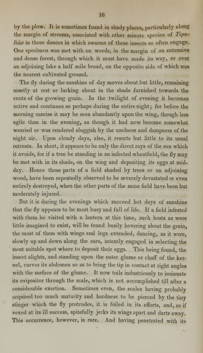 by the plow. It is sometimes found in shady places, particularly along the margin of streams, associated with other minute species of Tipu- lidce in those dances in which swarms of these insects so often engage. One specimen was met with on weeds, in the margin of an entensive and dense forest, through which it must have made its way, or over an adjoining lake a half mile broad, on the opposite side of which was the nearest cultivated ground. The fly during the sunshine of day moves about but little, remaining mostly at rest or lurking about in the shade furnished towards the roots of the growing grain. In the twilight of evening it becomes active and continues so perhaps during the entire night; for before the morning sunrise it may be seen abundantly upon the wing, though less agile than in the evening, as though it had now become somewhat wearied or was rendered sluggish by the coolness and dampness of the night air. Upon cloudy days, also, it resorts but little to its usual retreats. In short, it appears to be only the direct rays of the sun which it avoids, for if a tree be standing in an infected wheatfield, the fly may be met with in its shade, on the wing and depositing its eggs at mid- day. Hence those parts of a field shaded by trees or an adjoining wood, have been repeatedly observed to be severely devastated or even entirely destroyed, when the other parts of the same field have been but moderately injured. But it is during the evenings which succeed hot days of sunshine that the fly appears to be most busy and full of life. If a field infested with them be visited with a lantern at this time, such hosts as were little imagined to exist, will be found busily hovering about the grain, the most of them with wings and legs extended, dancing, as it were, slowly up and down along the ears, intently engaged in selecting the most suitable spot where to deposit their eggs. This being found, the insect alights, and standing upon the outer glume or chafT of the ker- nel, curves its abdomen so as to bring the tip in contact at right angles with the surface of the glume. It now toils industriously to insinuate its ovipositor through the scale, which is not accomplished till after a considerable exertion. Sometimes even, the scales having probably acquired too much maturity and hardness to be pierced by the tiny stinger which the fly protrudes, it is foiled in its efforts, and, as if vexed at its ill success, spitefully jerks its wings apart and darts away. This occurrence, however, is rare. And having penetrated with its