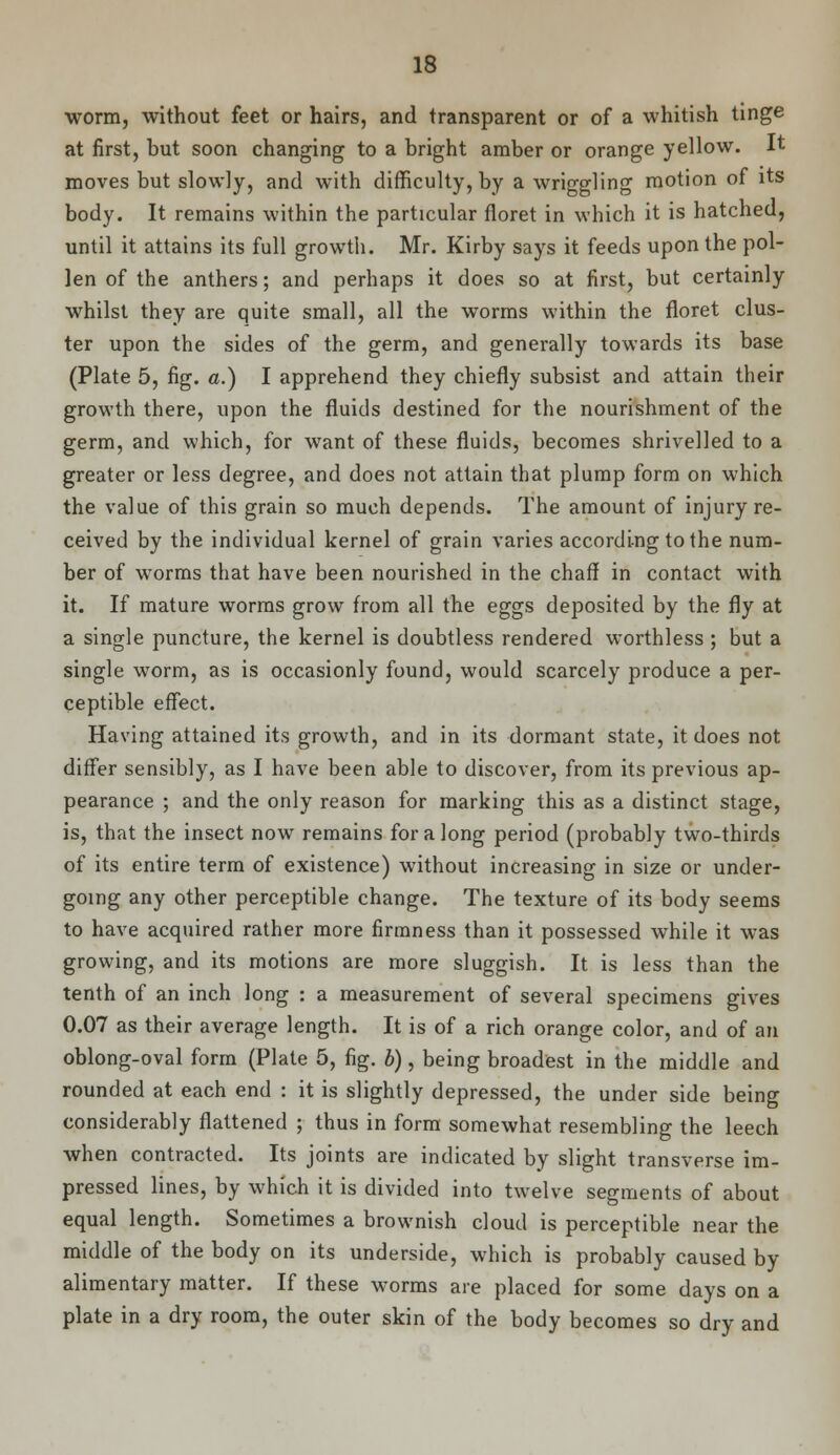 worm, without feet or hairs, and transparent or of a whitish tinge at first, but soon changing to a bright amber or orange yellow. It moves but slowly, and with difficulty, by a wriggling motion of its body. It remains within the particular floret in which it is hatched, until it attains its full growth. Mr. Kirby says it feeds upon the pol- len of the anthers; and perhaps it does so at first, but certainly whilst they are quite small, all the worms within the floret clus- ter upon the sides of the germ, and generally towards its base (Plate 5, fig. a.) I apprehend they chiefly subsist and attain their growth there, upon the fluids destined for the nourishment of the germ, and which, for want of these fluids, becomes shrivelled to a greater or less degree, and does not attain that plump form on which the value of this grain so much depends. The amount of injury re- ceived by the individual kernel of grain varies according to the num- ber of worms that have been nourished in the chaff in contact with it. If mature worms grow from all the eggs deposited by the fly at a single puncture, the kernel is doubtless rendered worthless ; but a single worm, as is occasionly found, would scarcely produce a per- ceptible effect. Having attained its growth, and in its dormant state, it does not differ sensibly, as I have been able to discover, from its previous ap- pearance ; and the only reason for marking this as a distinct stage, is, that the insect now remains for a long period (probably two-thirds of its entire term of existence) without increasing in size or under- going any other perceptible change. The texture of its body seems to have acquired rather more firmness than it possessed while it was growing, and its motions are more sluggish. It is less than the tenth of an inch long : a measurement of several specimens gives 0.07 as their average length. It is of a rich orange color, and of an oblong-oval form (Plate 5, fig. b), being broadest in the middle and rounded at each end : it is slightly depressed, the under side being considerably flattened ; thus in form somewhat resembling the leech when contracted. Its joints are indicated by slight transverse im- pressed lines, by which it is divided into twelve segments of about equal length. Sometimes a brownish cloud is perceptible near the middle of the body on its underside, which is probably caused by alimentary matter. If these worms are placed for some days on a plate in a dry room, the outer skin of the body becomes so dry and