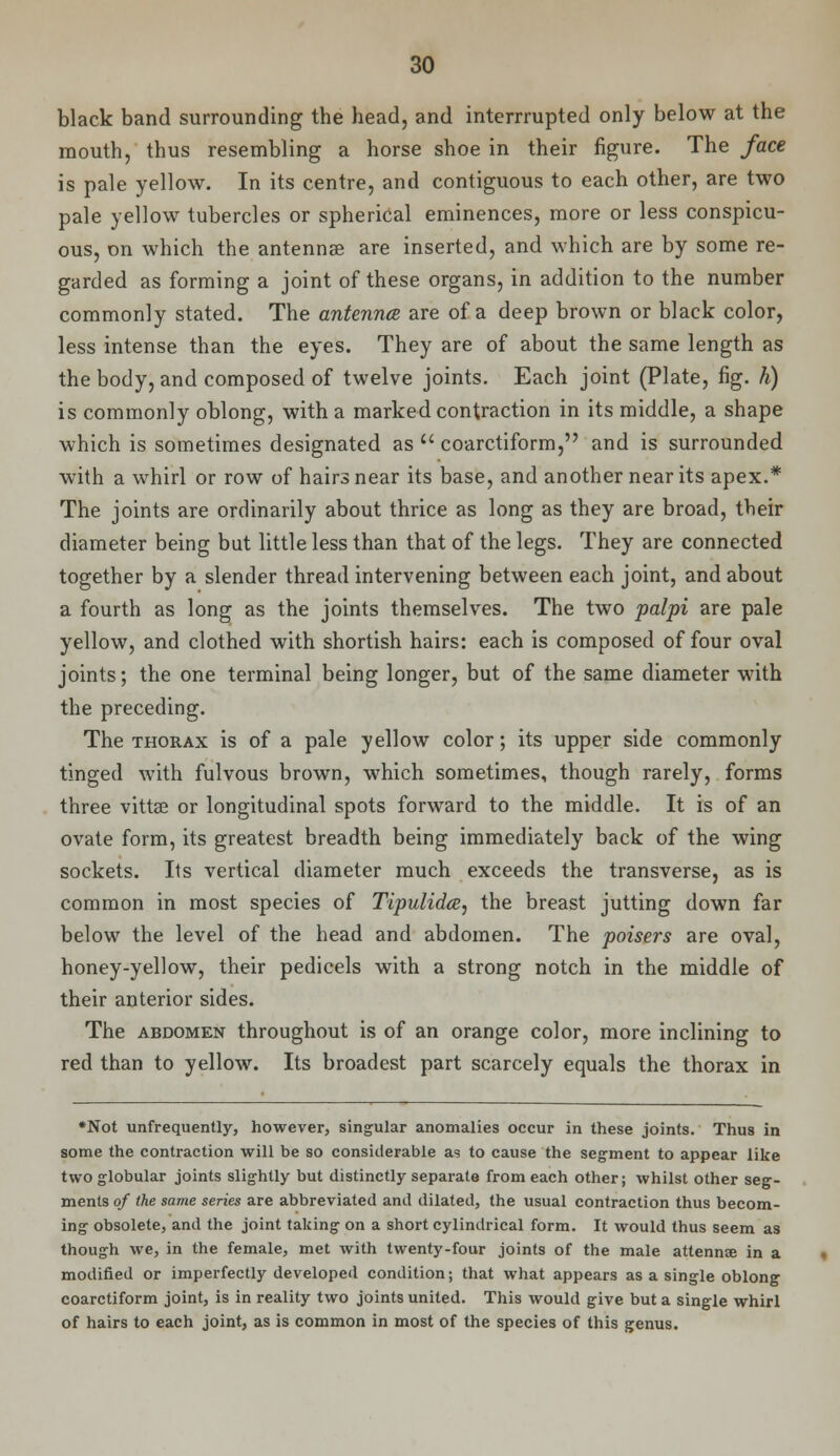 black band surrounding the head, and interrrupted only below at the mouth, thus resembling a horse shoe in their figure. The face is pale yellow. In its centre, and contiguous to each other, are two pale yellow tubercles or spherical eminences, more or less conspicu- ous, on which the antennas are inserted, and which are by some re- garded as forming a joint of these organs, in addition to the number commonly stated. The antenna are of a deep brown or black color, less intense than the eyes. They are of about the same length as the body, and composed of twelve joints. Each joint (Plate, fig. h) is commonly oblong, with a marked contraction in its middle, a shape which is sometimes designated as  coarctiform, and is surrounded with a whirl or row of hairs near its base, and another near its apex.* The joints are ordinarily about thrice as long as they are broad, their diameter being but little less than that of the legs. They are connected together by a slender thread intervening between each joint, and about a fourth as long as the joints themselves. The two palpi are pale yellow, and clothed with shortish hairs: each is composed of four oval joints; the one terminal being longer, but of the same diameter with the preceding. The thorax is of a pale yellow color; its upper side commonly tinged with fulvous brown, which sometimes, though rarely, forms three vittse or longitudinal spots forward to the middle. It is of an ovate form, its greatest breadth being immediately back of the wing sockets. Its vertical diameter much exceeds the transverse, as is common in most species of Tipulidce, the breast jutting down far below the level of the head and abdomen. The poisers are oval, honey-yellow, their pedicels with a strong notch in the middle of their anterior sides. The abdomen throughout is of an orange color, more inclining to red than to yellow. Its broadest part scarcely equals the thorax in *Not unfrequently, however, singular anomalies occur in these joints. Thus in some the contraction will be so considerable as to cause the segment to appear like two globular joints slightly but distinctly separate from each other; whilst other seg- ments of the same series are abbreviated and dilated, the usual contraction thus becom- ing obsolete, and the joint taking on a short cylindrical form. It would thus seem as though we, in the female, met with twenty-four joints of the male attennte in a modified or imperfectly developed condition; that what appears as a single oblong coarctiform joint, is in reality two joints united. This would give but a single whirl of hairs to each joint, as is common in most of the species of this genus.