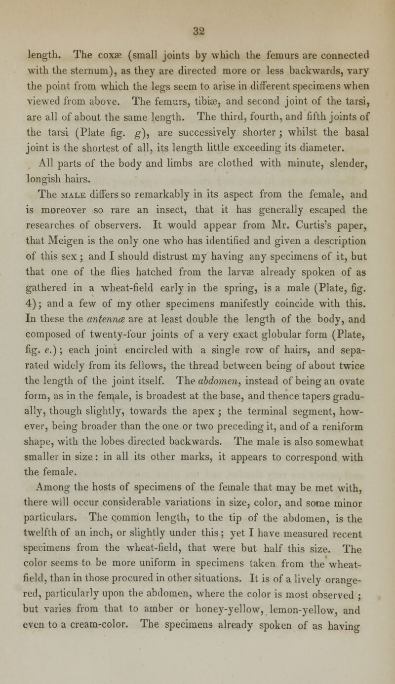 length. The coxee (small joints by which the femurs are connected with the sternum), as they are directed more or less backwards, vary the point from which the legs seem to arise in different specimens when viewed from above. The femurs, tibiee, and second joint of the tarsi, are all uf about the same length. The third, fourth, and fifth joints of the tarsi (Plate fig. g), are successively shorter; whilst the basal joint is the shortest of all, its length little exceeding its diameter. All parts of the body and limbs are clothed with minute, slender, longish hairs. The male differs so remarkably in its aspect from the female, and is moreover so rare an insect, that it has generally escaped the researches of observers. It would appear from Mr. Curtis's paper, that Meigen is the only one who has identified and given a description of this sex ; and I should distrust my having any specimens of it, but that one of the flies hatched from the larvae already spoken of as gathered in a wheat-field early in the spring, is a male (Plate, fig. 4); and a few of my other specimens manifestly coincide with this. In these the antenna are at least double the length of the body, and composed of twenty-four joints of a very exact globular form (Plate, fig. e.); each joint encircled with a single row of hairs, and sepa- rated widely from its fellows, the thread between being of about twice the length of the joint itself. The abdomen, instead of being an ovate form, as in the female, is broadest at the base, and thence tapers gradu- ally, though slightly, towards the apex ; the terminal segment, how- ever, being broader than the one or two preceding it, and of a reniform shape, with the lobes directed backwards. The male is also somewhat smaller in size: in all its other marks, it appears to correspond with the female. Among the hosts of specimens of the female that may be met with, there will occur considerable variations in size, color, and some minor particulars. The common length, to the tip of the abdomen, is the twelfth of an inch, or slightly under this; yet I have measured recent specimens from the wheat-field, that were but half this size. The color seems to be more uniform in specimens taken from the wheat- field, than in those procured in other situations. It is of a lively orange- red, particularly upon the abdomen, where the color is most observed • but varies from that to amber or honey-yellow, lemon-yellow, and even to a cream-color. The specimens already spoken of as having