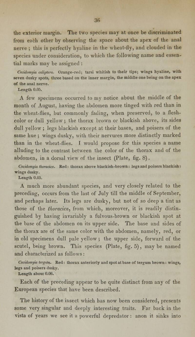 3fi the exterior margin. The two species may at once be discriminated from each other by observing the space about the apex of the anal nerve ; this is perfectly hyaline in the wheat-fly, and clouded in the species under consideration, to which the following name and essen- tial marks may be assigned : Cecidomyia caliptera. Orange-red; tarsi whitish to their tips; wings hyaline, with seven dusky spots, three based on the inner margin, the middle one being on the apex of the anal nerve. Length 0.05. A few specimens occurred to my notice about the middle of the month of August, having the abdomen more tinged with red than in the wheat-flies, but commonly fading, when preserved, to a flesh- color or dull yellow ; the thorax brown or blackish above, its sides dull yellow ; legs blackish except at their bases, and poisers of the same hue ; wings dusky, with their nervures more distinctly marked than in the wheat-flies. I would propose for this species a name alluding to the contrast between the color of the thorax and of the abdomen, in a dorsal view of the insect (Plate, fig. 8). Cecidomyia thoracico. Red: thorax above blackish-brown: legs and poisers blackish: wings dusky. Length 0.05. A much more abundant species, and very closely related to the preceding, occurs from the last of July till the middle of September, and perhaps later. Its legs are dusk}-, but not of so deep a tint as those of the thoracica, from which, moreover, it is readily distin- guished by having invariably a fulvous-brown or blackish spot at the base of the abdomen on its upper side. The base and sides of the thorax are of the same color with the abdomen, namely, red, or in old specimens dull pale yellow ; the upper side, forward of the scutel, being brown. This species (Plate, fig. 5), may be named and characterized as follows : Cecidomyia tergoto. Red: thorax anteriorly and spot at base of tergum brown: wings, legs and poisers dusky. Length about 0.06. Each of the preceding appear to be quite distinct from any of the European species that have been described. The history of the insect which has now been considered, presents some very singular and deeply interesting traits. Far back in the vista of years we see it a powerful depredator : anon it sinks into