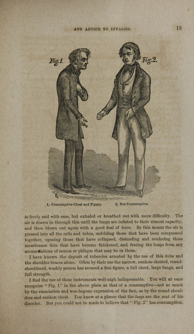 1, Consumptive Chest and Figure. 2, Not Consumptive. in freely and with ease, but exhaled or breathed out with more difficulty. The air is drawn in through this until the lungs are inflated to their utmost capacity, and then blown out again with a good deal of force. By this means the air is pressed into all the cells and tubes, unfolding those that have been compressed together, opening those that have collapsed, distending and rendering those membranes thin that have become thickened, and freeing the lungs from any accuunflations of mucus or phlegm that may be in them. I have known the deposit of tubercles arrested by the use of this tube and the shoulder-braces alone. Often by their use the narrow, sunken-chested, round- shouldered, weakly person has secured a fine figure, a full chest, large lungs, and full strength. I find the use of these instruments well-nigh indispensable. You will at once recognize Fig. 1 in the above plate as that of a consumptive—not so much by the emaciation and woe-begone expression of the face, as by the round shoul- ders and sunken chest. You know at a glance that the lungs are the seat of his disorder. But you could not be made to believe that  Fig. 2 has consumption.