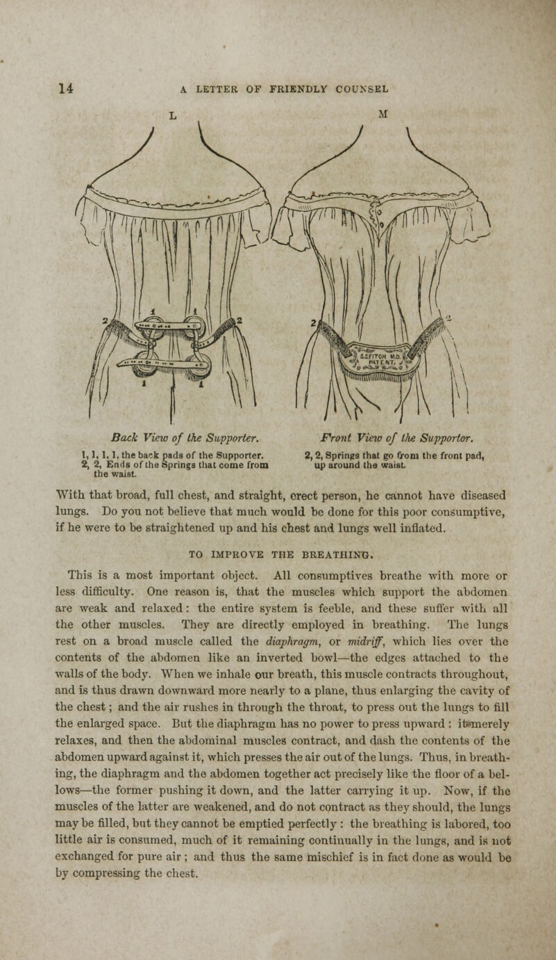 L M Back View of the Supporter. I,1, 1,1, the back pads of the Supporter. 2, 2, Ends of the Springs that come from the waist. Front Vino of the Supporter. 2,2, Springs that go f/om the front pad, up around the waist. With that broad, full chest, and straight, erect person, he cannot have diseased lungs. Do you not believe that much would be done for this poor consumptive, if he were to be straightened up and his chest and lungs well inflated. TO IMPROVE THE BREATHING. This is a most important object. All consumptives breathe with more or less difficulty. One reason is, that the muscles which support the abdomen are weak and relaxed: the entire system is feeble, and these suffer with all the other muscles. They are directly employed in breathing. The lungs rest on a broad muscle called the diaphragm, or midriff, which lies over the contents of the abdomen like an inverted bowl—the edges attached to the walls of the body. When we inhale our breath, this muscle contracts throughout, and is thus drawn downward more nearly to a plane, thus enlarging the cavity of the chest; and the air rushes in through the throat, to press out the lungs to fill the enlarged space. But the diaphragm has no power to press upward : itvmerely relaxes, and then the abdominal muscles contract, and dash the contents of the abdomen upward against it, which presses the air out of the lungs. Thus, in breath- ing, the diaphragm and the abdomen together act precisely like the floor of a bel- lows—the former pushing it down, and the latter carrying it up. Now, if the muscles of the latter are weakened, and do not contract as they should, the lungs maybe filled, but they cannot be emptied perfectly : the breathing is labored, too little air is consumed, much of it remaining continually in the lungs, and is not exchanged for pure air ; and thus the same mischief is in fact done as would be by compressing the chest.