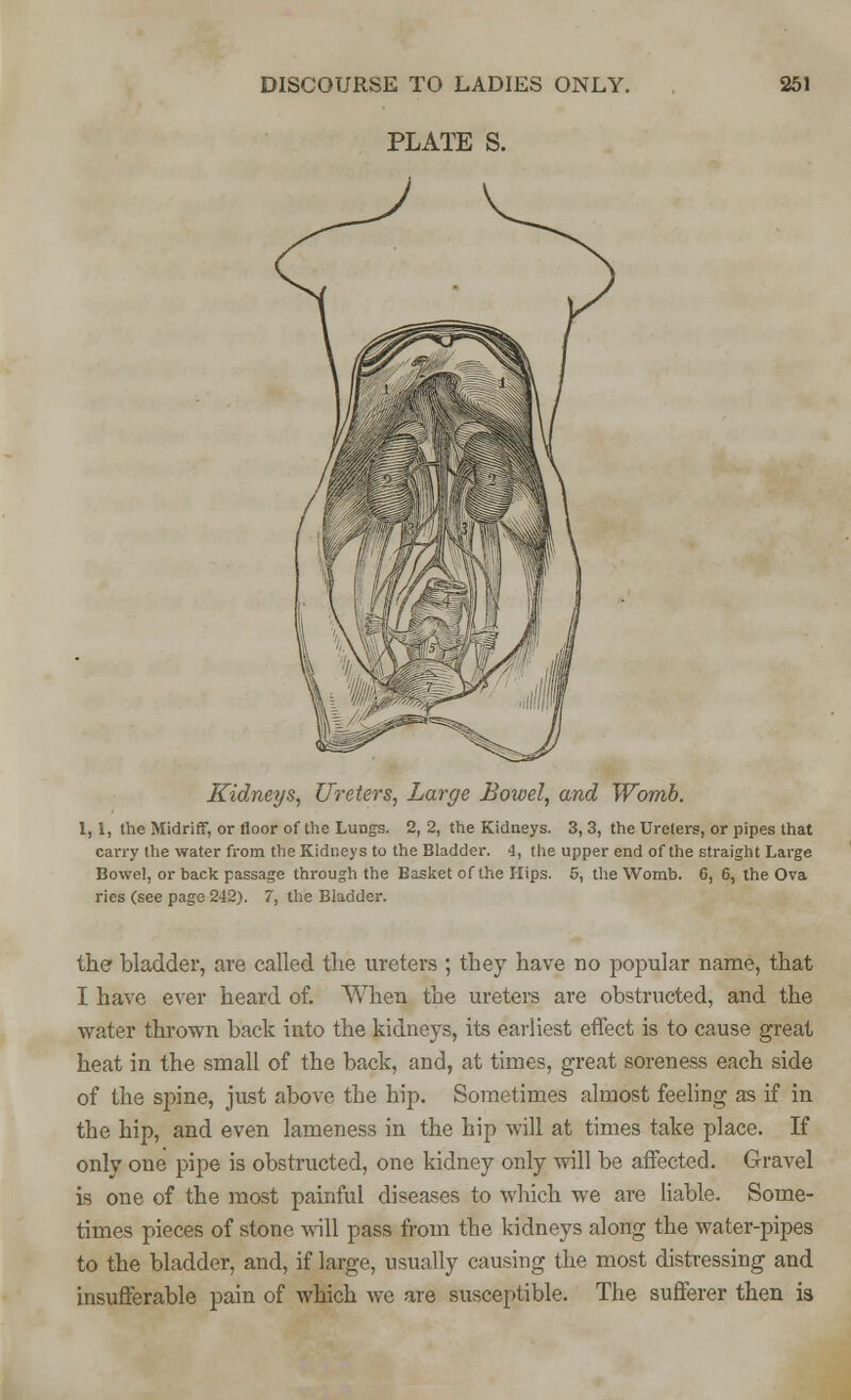 PLATE S. Kidneys, Ureters, Large Bowel, and Womb. 1,1, the Midriff, or floor of the Lungs. 2, 2, the Kidneys. 3, 3, the Ureters, or pipes that carry the water from the Kidneys to the Bladder. 4, the upper end of the straight Large Bowel, or back passage through the Basket of the Plips. 5, the Womb. 6, 6, the Ova ries (see page 242). 7, the Bladder. the bladder, are called the ureters ; they have no popular name, that I have ever heard of. When the ureters are obstructed, and the water thrown back into the kidneys, its earliest effect is to cause great heat in the small of the back, and, at times, great soreness each side of the spine, just above the hip. Sometimes almost feeling as if in the hip, and even lameness in the hip will at times take place. If only one pipe is obstructed, one kidney only will be affected. Gravel is one of the most painful diseases to which we are liable. Some- times pieces of stone will pass from the kidneys along the water-pipes to the bladder, and, if large, usually causing the most distressing and insufferable pain of which wc are susceptible. The sufferer then is