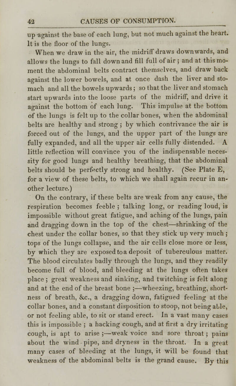 up against the base of each lung, but not much against the heart. It is the floor of the lungs. When we draw in the air, the midriff draws downwards, and allows the lungs to fall down and fill full of air ; and at this mo- ment the abdominal belts contract themselves, and draw back against the lower bowels, and at once dash the liver and sto- mach and all the bowels upwards ; so that the liver and stomach start upwards into the loose parts of the midriff, and drive it against the bottom of each lung. This impulse at the bottom of the lungs is felt up to the collar bones, when the abdominal belts are healthy and strong; by which contrivance the air is forced out of the lungs, and the upper part of the lungs are fully expanded, and all the upper air cells fully distended. A little reflection will convince you of the indispensable neces- sity for good lungs and healthy breathing, that the abdominal belts should be perfectly strong and healthy. (See Plate E, for a view of these belts, to which we shall again recur in an- other lecture.) On the contrary, if these belts are weak from any cause, the respiration becomes feeble ; talking long, or reading loud, is impossible without great fatigue, and aching of the lungs, pain and dragging down in the top of the chest—shrinking of the chest under the collar bones, so that they stick up very much ; tops of the lungs collapse, and the air cells close more or less, by which they are exposed to a deposit of tuberculous matter. The blood circulates badly through the lungs, and they readily become full of blood, and bleeding at the lungs often takes place ; great weakness and sinking, and twitching is felt along and at the end of the breast bone ;—wheezing, breathing, short- ness of breath, &c, a dragging down, fatigued feeling at the collar bones, and a constant disposition to stoop, not being able, or not feeling able, to sit or stand erect. In a vast many cases this is impossible ; a hacking cough, and at first a dry irritating cough, is apt to arise ;—weak voice and sore throat; pains about the wind-pipe, and dryness in the throat. In a great many cases of bleeding at the lungs, it will be found that weakness of the abdominal belts is the grand cause. By this