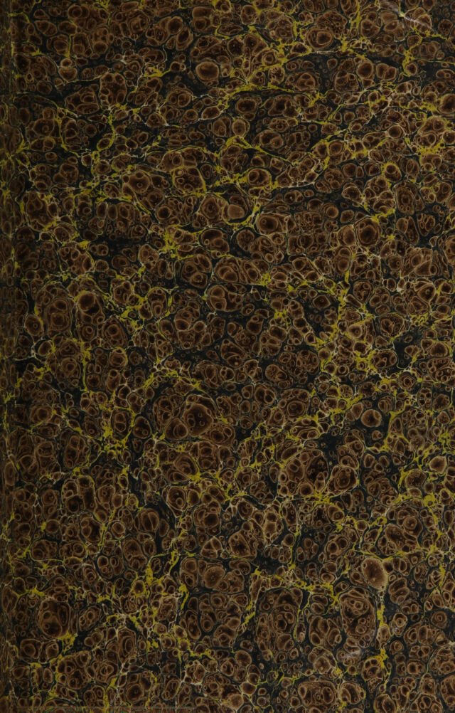 No text description is available for this image