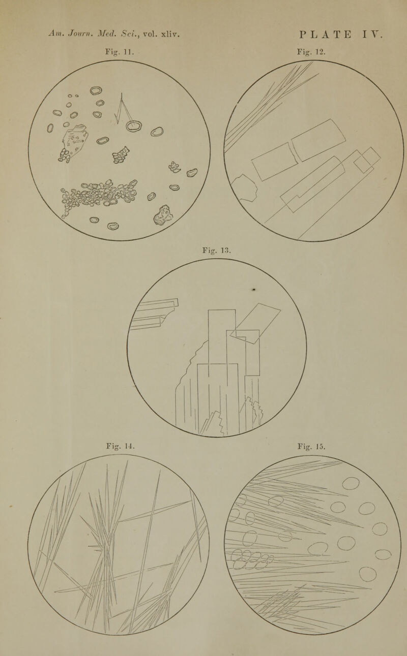 Fiff. 11. Fig. 12.