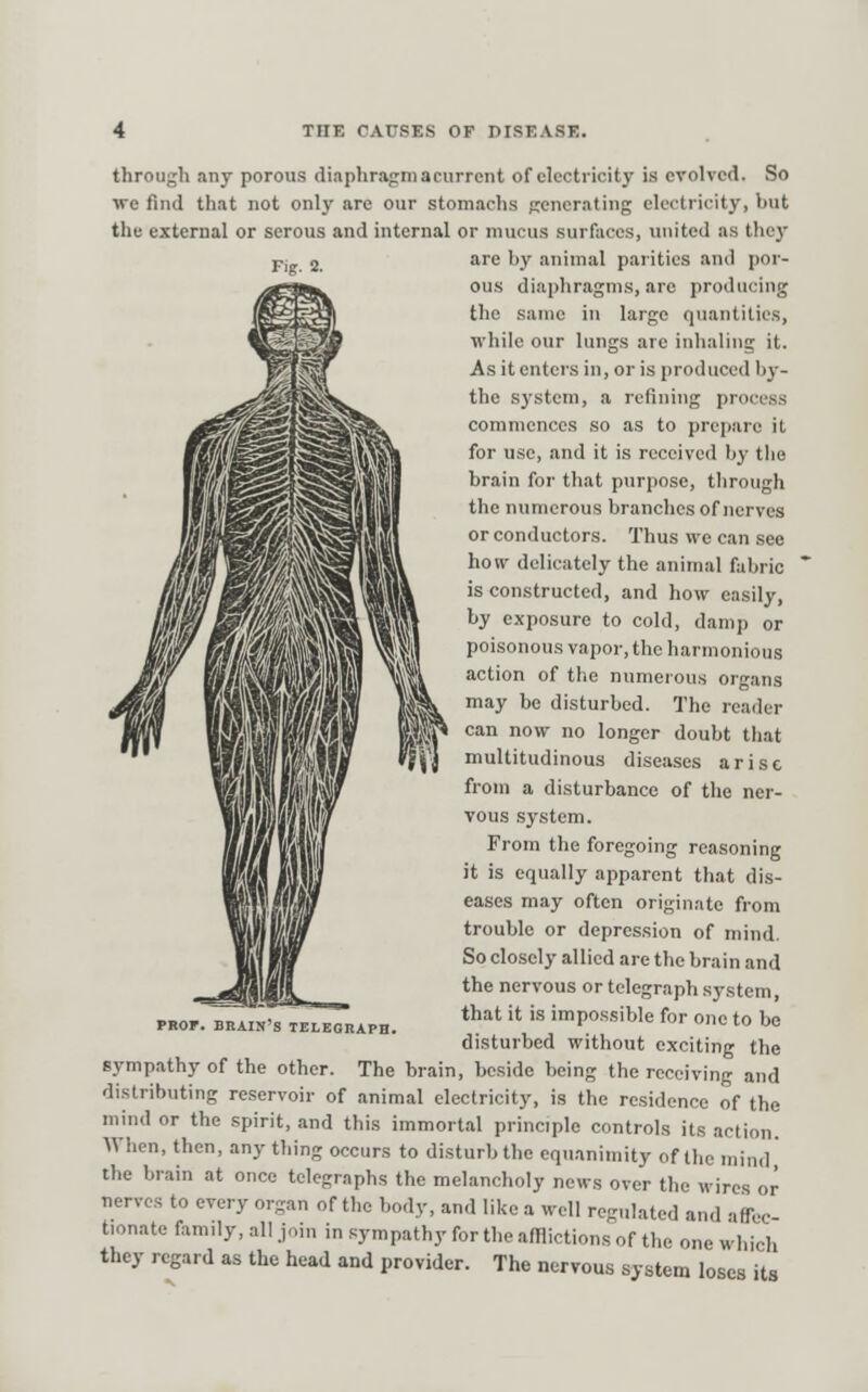 through any porous diaphragm acurrent of electricity is cTolved. So we find that not only are our stomachs generating electricity, but the external or serous and internal or mucus surfaces, united as tliey PI 2. '1'^ ''y animal parities and por- ous diaphragms, are producing the same in large quantities, while our lungs are inhaling it. As it enters in, or is produced by- the system, a refining process commences so as to prepare it for use, and it is received by the brain for that purpose, through the numerous branches of nerves or conductors. Thus we can see ho IV delicately the animal fabric is constructed, and how easily, by exposure to cold, damp or poisonous vapor, the harmonious action of the numeious organs may be disturbed. The reader can now no longer doubt that multitudinous diseases arise from a disturbance of the ner- vous .system. From the foregoing reasoning it is equally apparent that dis- eases may often originate from trouble or depression of mind. So closely allied are the brain and the nervous or telegraph system, that it is impossible for one to be disturbed without exciting the sympathy of the other. The brain, beside being the receiving and distributing reservoir of animal electricity, is the residence of the mind or the spirit, and this immortal principle controls its action. When, then, any thing occurs to disturb the equanimity of the mind the brain at once telegraphs the melancholy news over the wires or nerves to every organ of the body, and like a well regulated and affec- tionate family, all join in sympathy for the afflictions of the one which they regard as the head and provider. The nervous system loses its PROP. BRAIN'S TELEGRAPH.