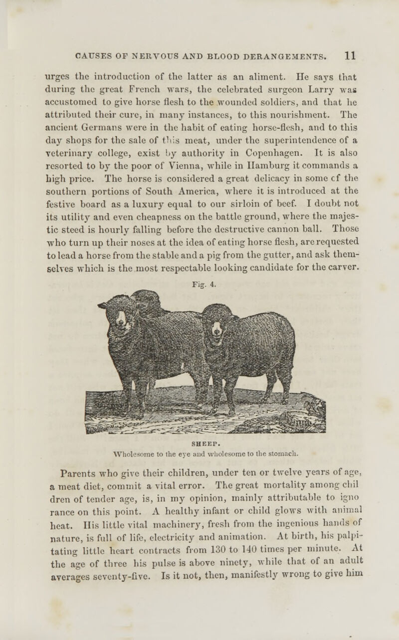 urges the introduction of the latter as an aliment. He says that during the great French wars, the celebrated surgeon Larry was accustomed to give horse flesh to the wounded soldiers, and that he attributed their cuie, in many instances, to this nourishment. The ancient Germans were in the habit of eating horse-flesh, and to this day shops for the sale of tliis meat, under the superintendence of a veterinary college, exist by authorit}' in Copenhagen. It is also resorted to by the poor of Vienna, while in Hamburg it commands a high price. The horse is considered a great delicacy in some cf the southern portions of South America, where it is introduced at the festive board as a luxury equal to our sirloin of beef I doubt not its utilit}' and even cheapness on the battle ground, where the mnjes- tic steed is hourly falling before the destructive cannon ball. Those who turn up their noses at the idea of eating horse flesh, are requested to lead a horse from the stable and a pig from the gutter, and ask them- selves which is the most respectable looking candidate for the carver. Parents who give their children, under ten or twelve years of age, a meat diet, commit a vital error. The great mortality among cliil dren of tender age, is, in my opinion, mainly attributable to igno ranee on this point. A healthy infant or child glows with animal heat. His little vital ni.achinery, fresh from the ingenious hands of nature, is full of life, electricity and animation. At birth, his palpi- tating little heart contracts from 130 to 140 times per minute. At the age of three his pulse is above ninety, while that of an adult averages seventy-five. Is it not, then, manifestly wrong to give him