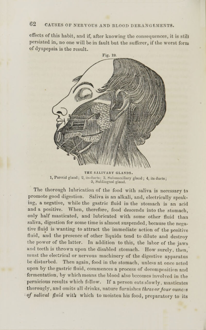 effects of this habit, and if, after knowing the consequences, it is still persisted in, no one will be in fault but the sufferer, if the worst form of dyspepsia is the result. Fiff. IB. THE SALIVARY GLANDS. 1, Parniid gland; 2, lis duels; :i, .Siiluniixillary glmid ; 4, its ducts; 5, Subliiiguul glaitd. The thorough lubrication of the food with saliva is necessary to promote good digestion. Saliva is an alkali, and, electrically speak- ing, a negative, while the gnstric fluid in the stomach is an acid and a positive. AThen, therefore, food descends into the stomach, only half masticated, and lubricated with some other fluid than saliva, digestion for some time is almost suspended, bccau.se the nc};a- tive fluid is wanting to attract the immediate action of the positive fluid, and the presence of other liquids tend to dilute and destroy the power of the latter. In addition to this, the labor of the jaws and teeth is thrown upon the disabled stomach. How surely, then, must the electrical or nervous machinery of the digestive apparatus be disturbed. Then again, food in the stomach, unless at once acted upon by the gastric fluid, commences a process of decomposition and fermentation, by which means the blood also becomes involved in the pernicious results which follow. If a person eats slowly, masticates thorougly, and omits all drinks, nature furnishes Ihreenrjour ouncs of sulival fluid witb which to moisten his food, preparatory to its