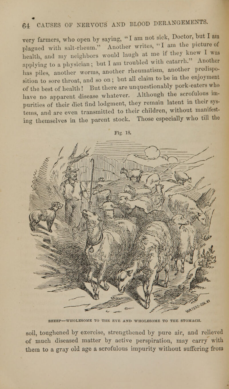 very farmers, who open by saying,  I am not sick, Doctor, but I am plagued with salt-rheum. Another writes, I am the picture of health, ami my neighbors would laugh at me if they knew I wa8 applying to a phvsician ; but I am troubled with catarrh. Another has piles, another worms, another rheumatism, another predispo- sition to sore throat, and so on ; but all claim to be in the enjoyment of the best of health ! But there are unquestionably pork-eaters who have no apparent disease whatever. Although the scrofulous im- purities of their diet find lodgment, they remain latent in their sys- tems, and are even transmitted to their children, without manifest- ing themselves in the parent stock. Those especially who till the Fig is. 8TTEEP—WHOLESOME TO THE EYE AND WnOLESOME TO THE STOMACH. soil, toughened by exercise, strengthened by pure air, and relieved of much diseased matter by active perspiration, may carry with them to a gray old age a scrofulous impurity without suffering from