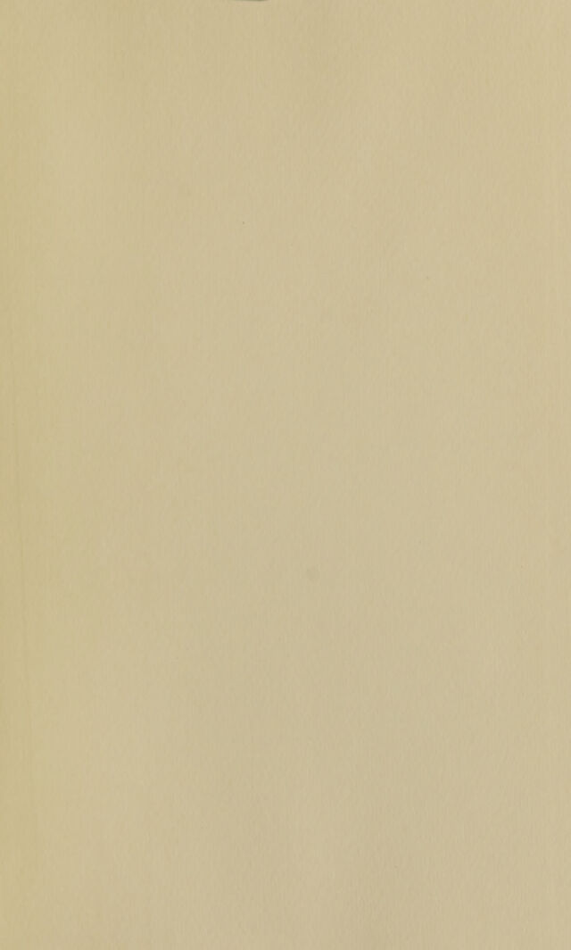 digitised image 3