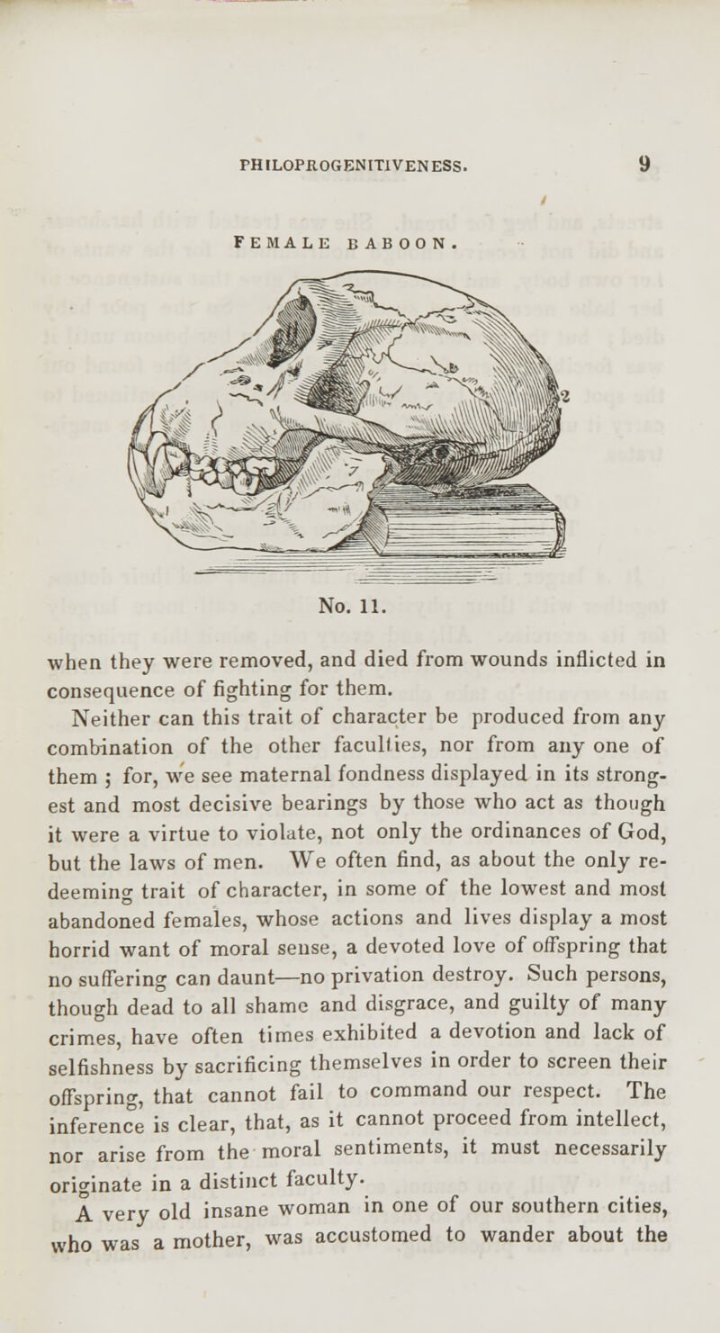 FEMA LE BABOON No. 11. when they were removed, and died from wounds inflicted in consequence of fighting for them. Neither can this trait of character be produced from any combination of the other facuHies, nor from any one of them 5 for, w-e see maternal fondness displayed in its strong- est and most decisive bearings by those who act as though it were a virtue to violate, not only the ordinances of God, but the laws of men. We often find, as about the only re- deeming trait of character, in some of the lowest and most abandoned females, whose actions and lives display a most horrid want of moral sense, a devoted love of offspring that no suffering can daunt—no privation destroy. Such persons, though dead to all shame and disgrace, and guilty of many crimes have often times exhibited a devotion and lack of selfishness by sacrificing themselves in order to screen their offspring, that cannot fail to command our respect. The inference is clear, that, as it cannot proceed from intellect, nor arise from the moral sentiments, it must necessarily originate in a distinct faculty. A very old insane woman in one of our southern cities, who was a mother, was accustomed to wander about the