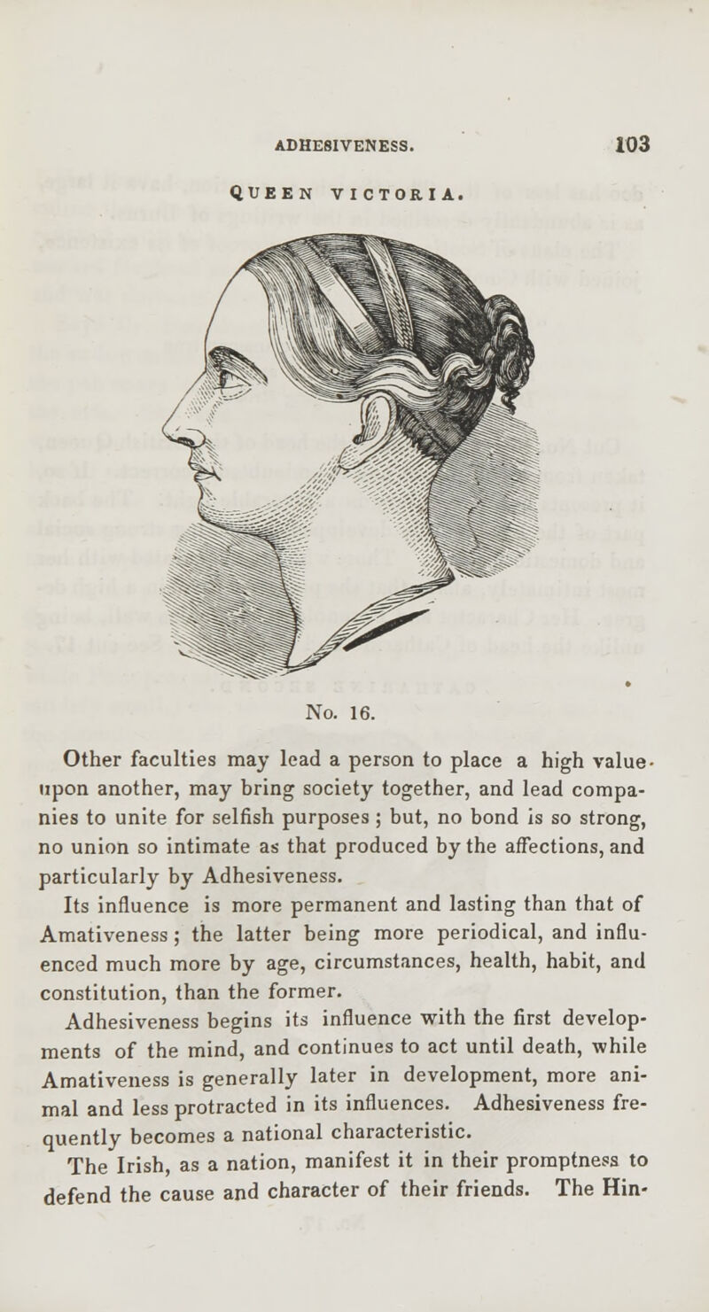 QUEEN VICTORIA. No. 16. Other faculties may lead a person to place a high value- upon another, may bring society together, and lead compa- nies to unite for selfish purposes ; but, no bond is so strong, no union so intimate as that produced by the affections, and particularly by Adhesiveness. Its influence is more permanent and lasting than that of Amativeness; the latter being more periodical, and influ- enced much more by age, circumstances, health, habit, and constitution, than the former. Adhesiveness begins its influence with the first develop- ments of the mind, and continues to act until death, while Amativeness is generally later in development, more ani- mal and less protracted in its influences. Adhesiveness fre- quently becomes a national characteristic. The Irish, as a nation, manifest it in their promptness to defend the cause and character of their friends. The Hin-