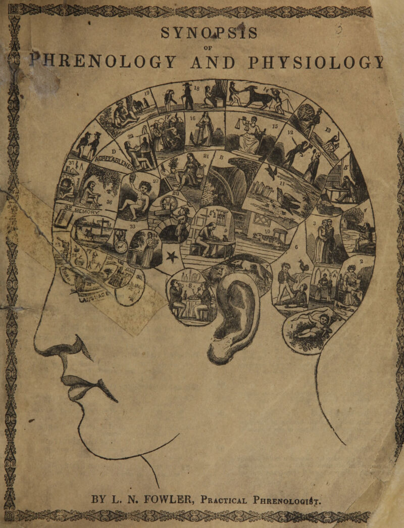 SYNOuPSls V OF PHRENOLOGY AND PHYSIOLOGY ^&j BY L. N. FOWLER, Practical Phrenologist.
