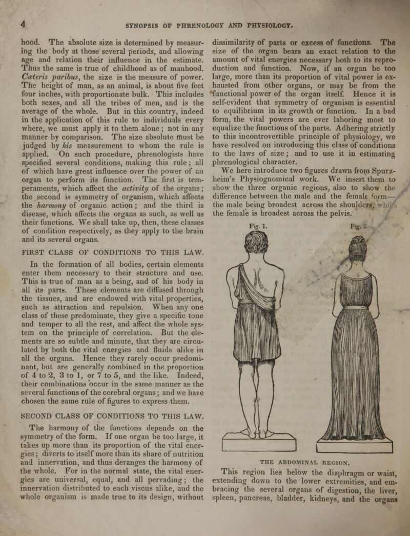 hood. The absolute size is determined by measur- ing the body at those several periods, and allowing age and relation their influence in the estimate. Thus the same is true of childhood as of manhood. Cateris paribus, the size is the measure of power. The height of man, as an animal, is about five feet four inches, with proportionate bulk. This includes both sexes, and all the tribes of men, and is the average of the whole. But in this country, indeed in the application of this rule to individuals every where, we must apply it to them alone; not in any manner by comparison. The size absolute must be judged by his measurement to whom the rule is applied. On such procedure, phrenologists have specified several conditions, making this rule ; all of which have great influence over the power of an organ to perform its function. The first is tem- peraments, which affect the activity of the organs ; the second is symmetry of organism, which affects the harmony of organic action; and the third is disease, which affects the organs as such, as well as their functions. We shall take up, then, these classes of condition respectively, as they apply to the brain and its several organs. FIRST CLASS OF CONDITIONS TO THIS LAW. In the formation of all bodies, certain elements enter them necessary to their structure and use. This is true of man as a being, and of his body in all its parts. These elements are diffused through the tissues, and are endowed with vital properties, such as attraction and repulsion. When any one class of these predominate, they give a specific tone and temper to all the rest, and affect the whole sys- tem on the principle of correlation. But the ele- ments are so subtle and minute, that they are circu- lated by both the vital energies and fluids alike in all the organs. Hence they rarely occur predomi- nant, but are generally combined in the proportion of 4 to 2, 3 to 1, or 7 to 5, and the like. Indeed, their combinations occur in the same manner as the several functions of the cerebral organs; and we have chosen the same rule of figures to express them. SECOND CLASS OF CONDITIONS TO THIS LAW. The harmony of the functions depends on the symmetry of the form. If one organ be too large, it takes up more than its proportion of the vital ener- gies ; diverts to itself more than its share of nutrition and innervation, and thus deranges the harmony of the whole. For in the normal state, the vital ener- gies are universal, equal, and all pervading; the innervation distributed to each viscus alike, and the whole organism is made true to its design, without dissimilarity of parts or excess of functions. The size of the organ bears an exact relation to the amount of vital energies necessary both to its repro- duction and function. Now, if an organ be too large, more than its proportion of vital power is ex- hausted from other organs, or may be from the functional power of the organ itself. Hence it is self-evident that symmetry of organism is essential to equilibrium in its growth or function. In a bad form, the vital powers are ever laboring most to equalize the functions of the parts. Adhering strictly to this incontrovertible principle of physiology, we have resolved on introducing this class of conditions to the laws of size; and to use it in estimating phrenological character. We here introduce two figures drawn from Spurz- heim's Physiognomical work. We insert them to show the three organic regions, also to show thr difference between the male and the femak fori the male being broadest across the shoulders, ■ the female is broadest across the pelvis. THE ABDOMINAL REGION. This region lies below the diaphragm or waist, extending down to the lower extremities, and em- bracing the several organs of digestion, the liver, spleen, pancreas, bladder, kidneys, and the organs