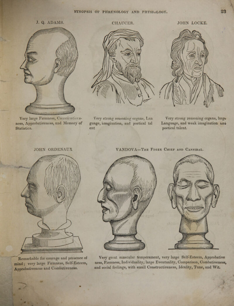J. Q. ADAMS. CHAUCER. JOHN LOCKE. Very large Firmness, Conscisntiors- Very strong reasoning organs. Lai) Very strong reasoning organs, lafg«* ness, Approbativeness, and Memory of guage, imagination, and poetical tal Language, and weak imagination ferni Statistics. ent poetical talent. JOHN ORDENAUX VANOOVA—The Fegee Chief and Cannibal. ^Remarkable for courage and presence of Very great muscular temperament, very large Self-Esteem, Approbative mind • very large Firmness, Self-Esteem, ness, Firmness, Individuality, large Eventuality, Comparison, Combativeness, Approbativeness and Combativeness. and social feelings, with small Constructiveness, Ideality, Tune, and Wit.