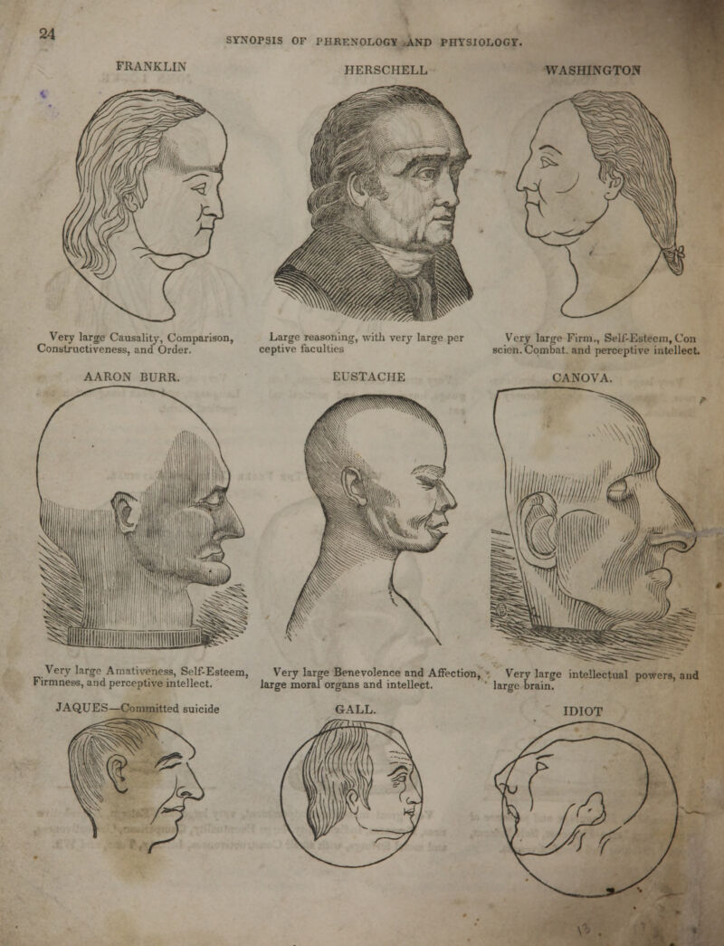 FRANKLIN SYNOPSIS OF PHRENOLOGY .AND PHYSIOLOGY. HERSCHELL WASHINGTON Very large Causality, Comparison, Large reasoning, with very large per ceptive faculties very large causality, tJorr Constructiveness, and Order AARON BURR. EUSTACIIE Very large Firm., Self-Esteem, Con scien. Combat, and perceptive intellect. CANOVA. Very large Amativeness, Self-Esteem, Very large Benevolence and Affection, • Very large intellectual powers, and v irmness, and perceptive intellect. large moral organs and intellect. ' large brain. JAQUES—Committed suicide GALL. IDIOT