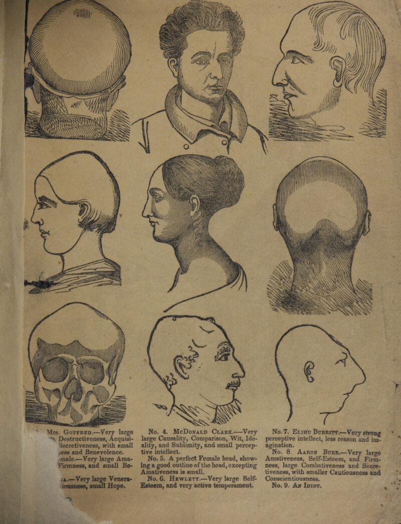 Mrs. Gotfred.—Very large *\ Destructiveness, Acquisi- ^ecretiveness, with small ess and Benevolence. male.—Very large Ama- Firmness, and small Be- /a.—Very large Venera- iousness, small Hope. No. 4. McDonald Clark.—Very large Causality, Comparison, Wit, Ide- ality, and Sublimity, and small percep- tive intellect. No. 5. A perfect Female head, show- ing a good outline of the head, excepting Amativeness is small. No. 6. Hewlett.—Very large Self- Esteem, and very active temperament. No. 7. Elihc BuRRrrr.—Very strong perceptive intellect, less reason and im- agination. No. 8. Aaron Burr.—Very large Amativeness, Self-Esteem, and Firm- ness, large Combativeness and Secre- tiveness, with smaller Cautiousness and Conscientiousness. No. 9. A* Idiot.