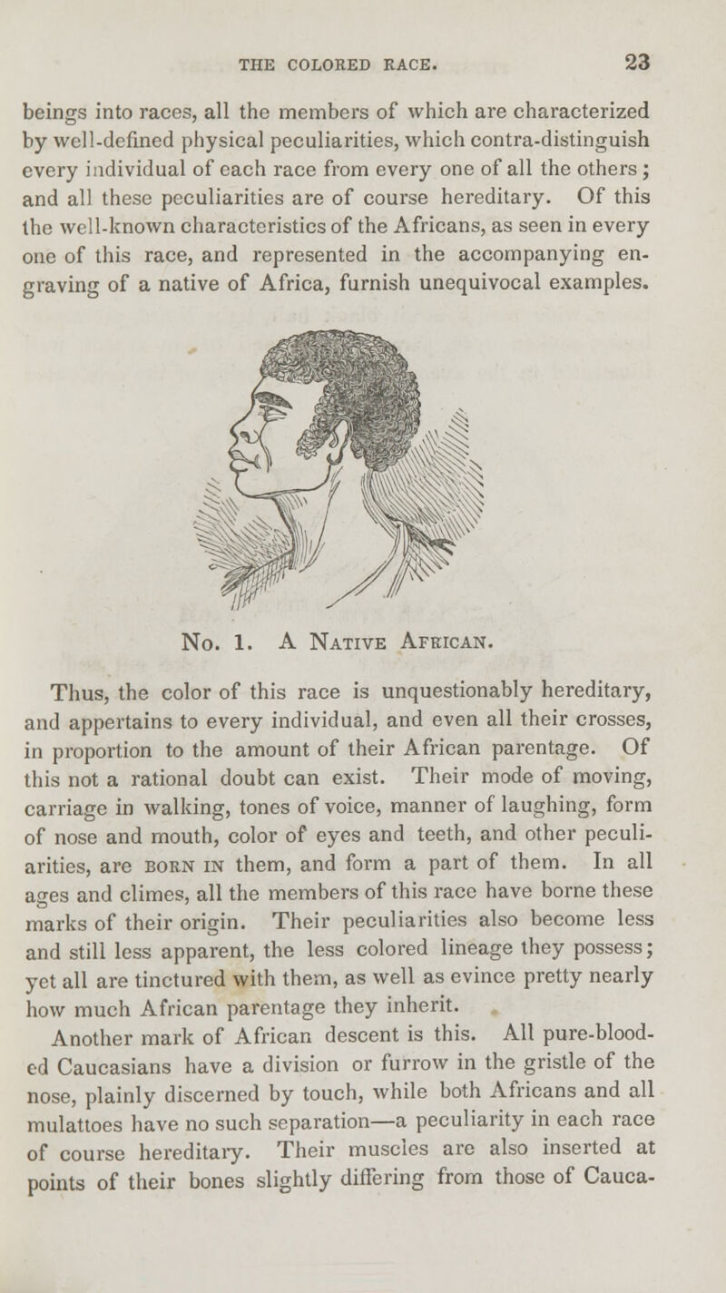 beings into races, all the members of which are characterized by well-defined physical peculiarities, which contra-distinguish every individual of each race from every one of all the others ; and all these peculiarities are of course hereditary. Of this the well-known characteristics of the Africans, as seen in every one of this race, and represented in the accompanying en- graving of a native of Africa, furnish unequivocal examples. No. 1. A Native African. Thus, the color of this race is unquestionably hereditary, and appertains to every individual, and even all their crosses, in proportion to the amount of their African parentage. Of this not a rational doubt can exist. Their mode of moving, carriage in walking, tones of voice, manner of laughing, form of nose and mouth, color of eyes and teeth, and other peculi- arities, are born in them, and form a part of them. In all ages and climes, all the members of this race have borne these marks of their origin. Their peculiarities also become less and still less apparent, the less colored lineage they possess; yet all are tinctured with them, as well as evince pretty nearly how much African parentage they inherit. Another mark of African descent is this. All pure-blood- ed Caucasians have a division or furrow in the gristle of the nose, plainly discerned by touch, while both Africans and all mulattoes have no such separation—a peculiarity in each race of course hereditary. Their muscles are also inserted at points of their bones slightly differing from those of Cauca-