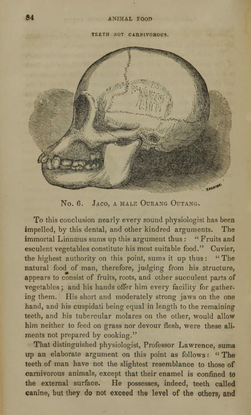 64 TEETH NOT CARNIVOROUS. No. 6. Jaco, a male Ourang Outang. To this conclusion nearly every sound physiologist has been impelled, by this dental, and other kindred arguments. The immortal Linnseus sums up this argument thus :  Fruits and esculent vegetables constitute his most suitable food. Cuvier, the highest authority on this point, sums it up thus: The natural food of man, therefore, judging from his structure, appears to consist of fruits, roots, and other succulent parts of vegetables; and his hands offer him every facility for gather- ing them. His short and moderately strong jaws on the one hand, and his cuspidati being equal in length to the remaining teeth, and his tubercular molares on the other, would allow him neither to feed on grass nor devour flesh, were these ali- ments not prepared by cooking. That distinguished physiologist, Professor Lawrence, sums up an elaborate argument on this point as follows;  The teeth of man have not the slightest resemblance to those of carnivorous animals, except that their enamel is confined to the external surface. He possesses, indeed, teeth called canine, but they do not exceed the level of the others, and