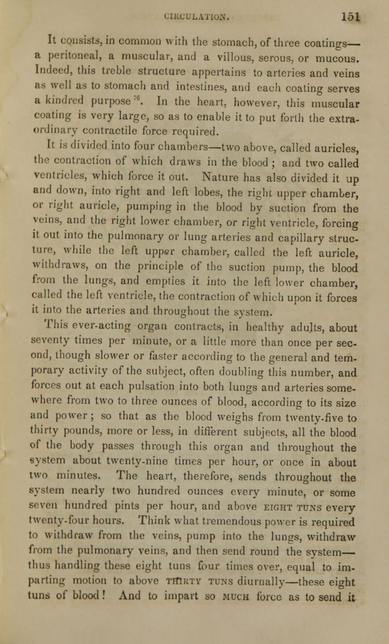 It consists, in common with the stomach, of three coatings— a peritonea], a muscular, and a villous, serous, or mucous. Indeed, this treble structure appertains to arteries and veins as well as to stomach and intestines, and each coating serves a kindred purpose76. In the heart, however, this muscular coating is very large, so as to enable it to put forth the extra- ordinary contractile force required. It is divided into four chambers—two above, called auricles, the contraction of which draws in the blood ; and two called ventricles, which force it out. Nature has also divided it up and down, into right and left lobes, the right upper chamber, or right auricle, pumping in the blood by suction from the veins, and the right lower chamber, or right ventricle, forcing it out into the pulmonary or lung arteries and capillary struc- ture, while the left upper chamber, called the left auricle, withdraws, on the principle of the suction pump, the blood from the lungs, and empties it into the left lower chamber, called the left ventricle, the contraction of which upon it forces it into the arteries and throughout the system. This ever-acting organ contracts, in healthy adults, about seventy times per minute, or a little more than once per sec- ond, though slower or faster according to the general and tern- porary activity of the subject, often doubling this number, and forces out at each pulsation into both lungs and arteries some- where from two to three ounces of blood, according to its size and power; so that as the blood weighs from twenty-five to thirty pounds, more or less, in different subjects, all the blood of the body passes through this organ and throughout the system about twenty-nine times per hour, or once in about two minutes. The heart, therefore, sends throughout the system nearly two hundred ounces every minute, or some seven hundred pints per hour, and above eight tuns every twenty-four hours. Think what tremendous power is required to withdraw from the veins, pump into the lungs, withdraw from the pulmonary veins, and then send round the system— thus handling these eight tuns four times over, equal to im- parting motion to above thirty tuns diurnally—these eight tuns of blood! And to impart so much force as to send it