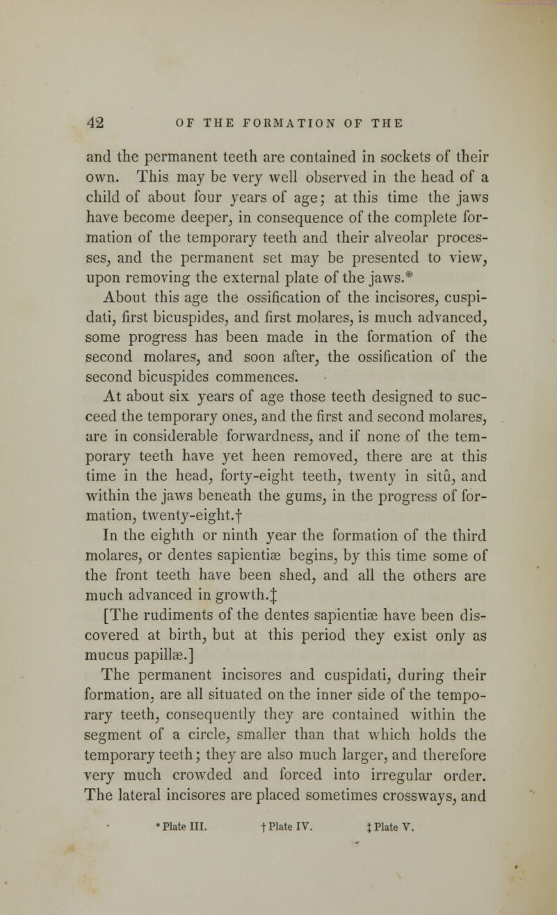 and the permanent teeth are contained in sockets of their own. This may be very well observed in the head of a child of about four years of age; at this time the jaws have become deeper, in consequence of the complete for- mation of the temporary teeth and their alveolar proces- ses, and the permanent set may be presented to view, upon removing the external plate of the jaws.* About this age the ossification of the incisores, cuspi- dati, first bicuspides, and first molares, is much advanced, some progress has been made in the formation of the second molares, and soon after, the ossification of the second bicuspides commences. At about six years of age those teeth designed to suc- ceed the temporary ones, and the first and second molares, are in considerable forwardness, and if none of the tem- porary teeth have yet heen removed, there are at this time in the head, forty-eight teeth, twenty in situ, and within the jaws beneath the gums, in the progress of for- mation, twenty-eight.f In the eighth or ninth year the formation of the third molares, or dentes sapientiae begins, by this time some of the front teeth have been shed, and all the others are much advanced in growth.J [The rudiments of the dentes sapientiae have been dis- covered at birth, but at this period they exist only as mucus papillae.] The permanent incisores and cuspidati, during their formation, are all situated on the inner side of the tempo- rary teeth, consequently they are contained within the segment of a circle, smaller than that which holds the temporary teeth; they are also much larger, and therefore very much crowded and forced into irregular order. The lateral incisores are placed sometimes crossways, and ♦Plate III. tPlate IV. \Plate V.