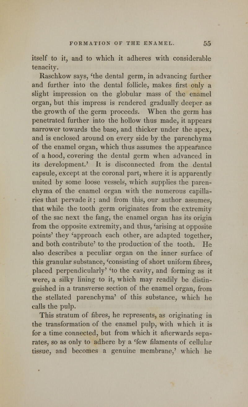 itself to it, and to which it adheres with considerable tenacity. Raschkow says, 'the dental germ, in advancing further and further into the dental follicle, makes first only a slight impression on the globular mass of the enamel organ, but this impress is rendered gradually deeper as the growth of the germ proceeds. When the germ has penetrated further into the hollow thus made, it appears narrower towards the base, and thicker under the apex, and is enclosed around on every side by the parenchyma of the enamel organ, which thus assumes the appearance of a hood, covering the dental germ when advanced in its development.' It is disconnected from the dental capsule, except at the coronal part, where it is apparently united by some loose vessels, which supplies the paren- chyma of the enamel organ with the numerous capilla- ries that pervade it; and from this, our author assumes, that while the tooth germ originates from the extremity of the sac next the fang, the enamel organ has its origin from the opposite extremity, and thus, 'arising at opposite points' they 'approach each other, are adapted together, and both contribute' to the production of the tooth. He also describes a peculiar organ on the inner surface of this granular substance, 'consisting of short uniform fibres, placed perpendicularly' 'to the cavity, and forming as it were, a silky lining to it, which may readily be distin- guished in a transverse section of the enamel organ, from the stellated parenchyma' of this substance, which he calls the pulp. This stratum of fibres, he represents, as originating in the transformation of the enamel pulp, with which it is for a time connected, but from which it afterwards sepa- rates, so as only to adhere by a 'few filaments of cellular tissue, and becomes a genuine membrane.' which he