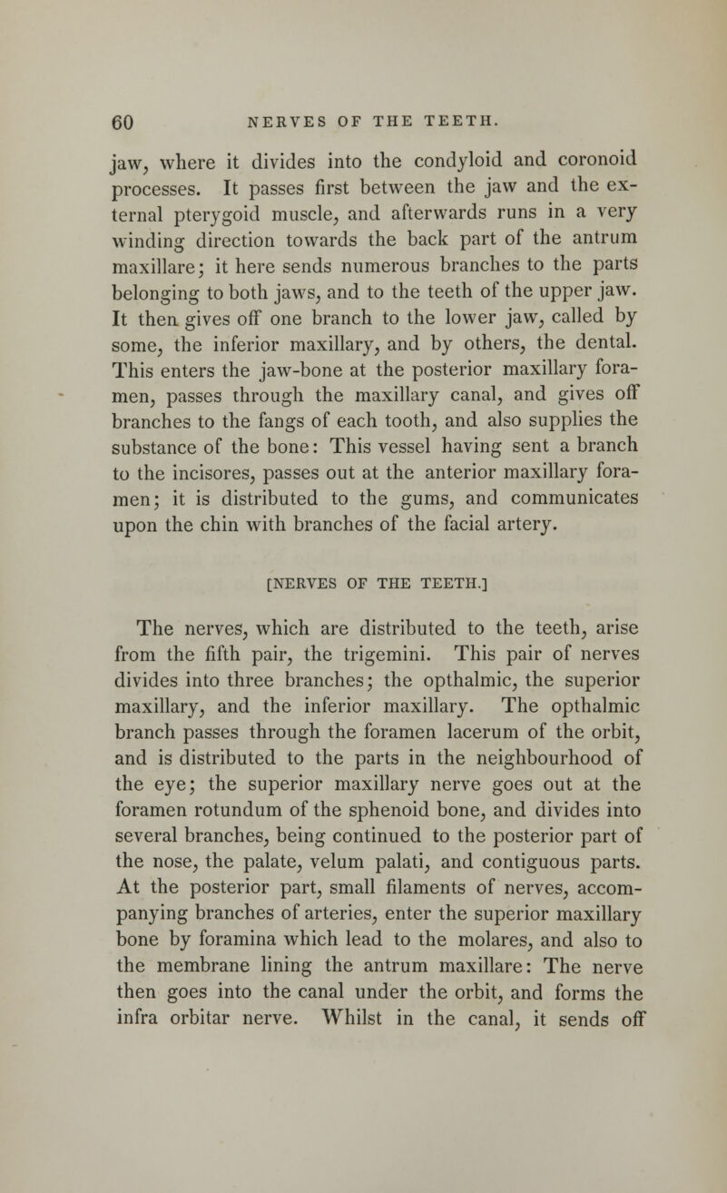 jaw, where it divides into the condyloid and coronoid processes. It passes first between the jaw and the ex- ternal pterygoid muscle, and afterwards runs in a very winding direction towards the back part of the antrum maxillare; it here sends numerous branches to the parts belonging to both jaws, and to the teeth of the upper jaw. It then gives off one branch to the lower jaw, called by some, the inferior maxillary, and by others, the dental. This enters the jaw-bone at the posterior maxillary fora- men, passes through the maxillary canal, and gives off branches to the fangs of each tooth, and also supplies the substance of the bone: This vessel having sent a branch to the incisores, passes out at the anterior maxillary fora- men; it is distributed to the gums, and communicates upon the chin with branches of the facial artery. [NERVES OF THE TEETH.] The nerves, which are distributed to the teeth, arise from the fifth pair, the trigemini. This pair of nerves divides into three branches; the opthalmic, the superior maxillary, and the inferior maxillary. The opthalmic branch passes through the foramen lacerum of the orbit, and is distributed to the parts in the neighbourhood of the eye; the superior maxillary nerve goes out at the foramen rotundum of the sphenoid bone, and divides into several branches, being continued to the posterior part of the nose, the palate, velum palati, and contiguous parts. At the posterior part, small filaments of nerves, accom- panying branches of arteries, enter the superior maxillary bone by foramina which lead to the molares, and also to the membrane lining the antrum maxillare: The nerve then goes into the canal under the orbit, and forms the infra orbitar nerve. Whilst in the canal, it sends off