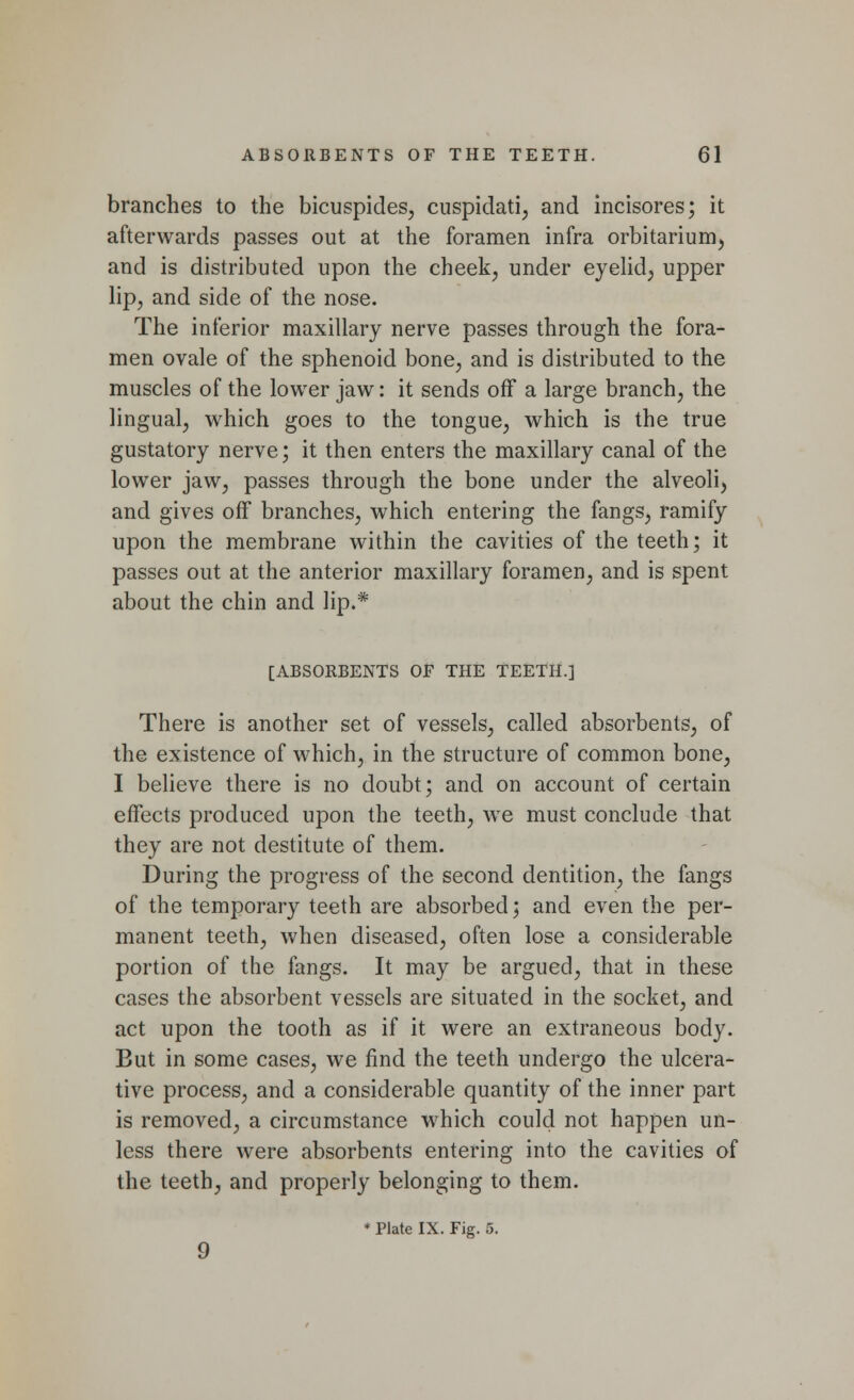 branches to the bicuspides, cuspidati, and incisores; it afterwards passes out at the foramen infra orbitarium, and is distributed upon the cheek, under eyelid, upper lip, and side of the nose. The inferior maxillary nerve passes through the fora- men ovale of the sphenoid bone, and is distributed to the muscles of the lower jaw: it sends off a large branch, the lingual, which goes to the tongue, which is the true gustatory nerve; it then enters the maxillary canal of the lower jaw, passes through the bone under the alveoli, and gives off branches, which entering the fangs, ramify upon the membrane within the cavities of the teeth; it passes out at the anterior maxillary foramen, and is spent about the chin and lip.* [ABSORBENTS OF THE TEETH.] There is another set of vessels, called absorbents, of the existence of which, in the structure of common bone, I believe there is no doubt; and on account of certain effects produced upon the teeth, we must conclude that they are not destitute of them. During the progress of the second dentition, the fangs of the temporary teeth are absorbed; and even the per- manent teeth, when diseased, often lose a considerable portion of the fangs. It may be argued, that in these cases the absorbent vessels are situated in the socket, and act upon the tooth as if it were an extraneous body. But in some cases, we find the teeth undergo the ulcera- tive process, and a considerable quantity of the inner part is removed, a circumstance which could not happen un- less there were absorbents entering into the cavities of the teeth, and properly belonging to them. * Plate IX. Fig. 5. 9