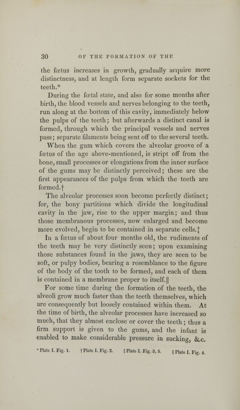 the foetus increases in growth, gradually acquire more distinctness, and at length form separate sockets for the teeth.* During the fcetal state, and also for some months after birth, the blood vessels and nerves belonging to the teeth, run along at the bottom of this cavity, immediately below the pulps of the teeth; but afterwards a distinct canal is formed, through which the principal vessels and nerves pass; separate filaments being sent off to the several teeth. When the gum which covers the alveolar groove of a foetus of the age above-mentioned, is stript off from the bone, small processes or elongations from the inner surface of the gums may be distinctly perceived; these are the first appearances of the pulps from which the teeth are formed.f The alveolar processes soon become perfectly distinct; for, the bony partitions which divide the longitudinal cavity in the jaw, rise to the upper margin; and thus those membranous processes, now enlarged and become more evolved, begin to be contained in separate cells. J In a foetus of about four months old, the rudiments of the teeth may be very distinctly seen; upon examining those substances found in the jaws, they are seen to be soft, or pulpy bodies, bearing a resemblance to the figure of the body of the tooth to be formed, and each of them is contained in a membrane proper to itself. || For some time during the formation of the teeth, the alveoh grow much faster than the teeth themselves, which are consequently but loosely contained within them. At the time of birth, the alveolar processes have increased so much, that they almost enclose or cover the teeth; thus a firm support is given to the gums, and the infant is enabled to make considerable pressure in sucking, 6lc. * Plate I. Fig. 1. t Plate I. Fig. 2. J Plate I. Fig. 3, 5. || Plate I. Fig. 4.