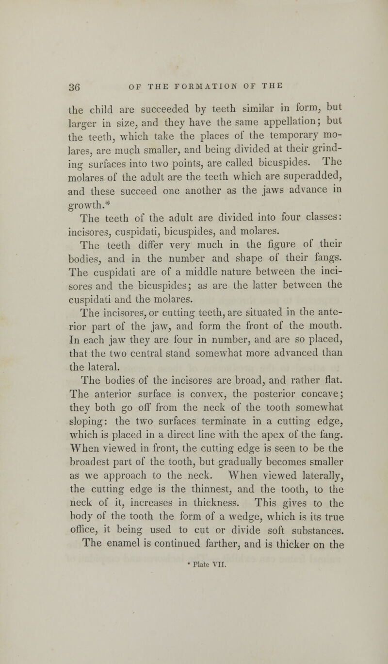 the child are succeeded by teeth similar in form^ but larger in size^ and they have the same appellation; but the teeth^ which take the places of the temporary mo- lares, are much smaller, and being divided at their grind- ing surfaces into two points, are called bicuspides. The molares of the adult are the teeth which are superadded, and these succeed one another as the jaws advance in growth.* The teeth of the adult are divided into four classes: incisores, cuspidati, bicuspides, and molares. The teeth differ very much in the figure of their bodies, and in the number and shape of their fangs. The cuspidati are of a middle nature between the inci- sores and the bicuspides; as are the latter between the cuspidati and the molares. The incisores, or cutting teeth, are situated in the ante- rior part of the jaw, and form the front of the mouth. In each jaw they are four in number, and are so placed, that the two central stand somewhat more advanced than the lateral. The bodies of the incisores are broad, and rather flat. The anterior surface is convex, the posterior concave; they both go off from the neck of the tooth somewhat sloping: the two surfaces terminate in a cutting edge, which is placed in a direct line with the apex of the fang. When viewed in front, the cutting edge is seen to be the broadest part of the tooth, but gradually becomes smaller as we approach to the neck. When viewed laterally, the cutting edge is the thinnest, and the tooth, to the neck of it, increases in thickness. This gives to the body of the tooth the form of a wedge, which is its true office, it being used to cut or divide soft substances. The enamel is continued farther, and is thicker on the • Plate VII.