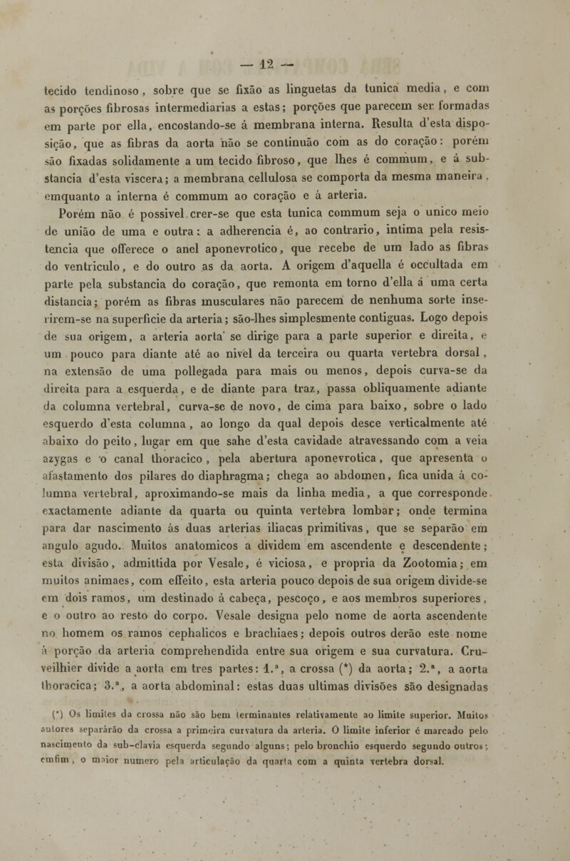 tecido tendinoso , sobre que se fixão as linguetas da túnica media, e com as porções fibrosas intermediarias a estas; porções que parecem ser formadas em parte por ella, encostando-se á membrana interna. Resulta d'esta dispo- sição, que as fibras da aorta não se continuão com as do coração: porém são fixadas solidamente a um tecido fibroso, que lhes é commum, e á sub- stancia d'esta viscera; a membrana cellulosa se comporta da mesma maneira , emquanto a interna é commum ao coração e á artéria. Porém não é possível. crer-se que esta túnica commum seja o único meio de união de uma e outra: a adherencia é, ao contrario, intima pela resis- tência que offerece o anel aponevrotico, que recebe de um lado as fibras do ventrículo, e do outro as da aorta. A origem d'aquella é occultada em parte pela substancia do coração, que remonta em torno d'ella á uma certa distancia; porém as fibras musculares não parecem de nenhuma sorte inse- rirem-se na superfície da artéria; são-lhes simplesmente contiguas. Logo depois de sua origem, a artéria aorta* se dirige para a parte superior e direita, e um pouco para diante até ao nivel da terceira ou quarta vértebra dorsal, na extensão de uma pollegada para mais ou menos, depois curva-se da direita para a esquerda, e de diante para traz, passa obliquamente adiante da columna vertebral, curva-se de novo, de cima para baixo, sobre o lado esquerdo desta columna, ao longo da qual depois desce verticalmente até abaixo do peito, lugar em que sahe d'esta cavidade atravessando com a veia azygas e o canal thoracico , pela abertura aponevrotica, que apresenta o afastamento dos pilares do diaphragma; chega ao abdómen, fica unida á co- lumna vertebral, aproximando-se mais da linha media, a que corresponde exactamente adiante da quarta ou quinta vértebra lombar; onde termina para dar nascimento ás duas artérias iliacas primitivas, que se separão em angulo agudo. Muitos anatómicos a dividem em ascendente e descendente; esta divisão, admittida por Vesale, é viciosa, e própria da Zootomia; em muitos animaes, com effeito, esta artéria pouco depois de sua origem divide-se em dois ramos, um destinado â cabeça, pescoço, e aos membros superiores, e o outro ao resto do corpo. Vesale designa pelo nome de aorta ascendente no homem os ramos cephalicos e brachiaes; depois outros derão este nome á porção da artéria comprehendida entre sua origem e sua curvatura. Cru- veilhier divide a aorta em três partes: l.a, a crossa (*) da aorta; 2.a, a aorta tboracica; 3., a aorta abdominal: estas duas ultimas divisões são designadas (*) Os limites da crossa não são bem terminantes relativamente ao limite superior. Muitos autores separarão da crossa a primeira curvatura da artéria. O limite inferior é marcado pelo nascimento da sub-clavia esquerda segundo alguns; pelo bronchio esquerdo segundo outros; emfim, o mnior numero pela articulação da quarta com a quinta Tcrtebra dorsal.