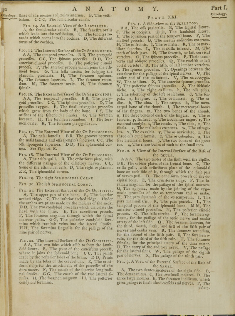 eology. {hare of the meatus auditorius internus. B, The vefti- ~v ' bulum. C C C, The femicircular canals. Fig. 14. An External View of the Labyrinth. A, the femicircular canals. B, The feneflra ovalis which leads into the veflibulum. C, The feneftra ro- tunda which opens into the cochlea. D, The different turns of the cochlea. Fig. 15. The Internal Surface of the OsSphenoides. A A, The temporal procefles. B B, The pterygoid procefles. C C, The fpinous proceffes. D D, The anterior clinoid procefles. E. The pofterior clinoid procefs. F, The anterior procefs which joins the eth- moid bone. G, The fella turcica for lodging the gtandula pituitaria. H, The foramen opticum. K, The foramen lacerum. L, The foramen rotun- dum. M, The foramen ovale. N, The foramen fpinale. Fig. 16. The External Surface of theOsSpHENoiDEs. A A, The temporal procefles. B B, The ptery- goid procefles. C C, The fpinous procefles. D, The proceflus azygos. E, The fmall triangular procefles which grow from the body of the bone. F F, The orifices of the fphenoidal iinufes. G, The foramen lacerum. H, The foramen rotundum. I, The fora- men ovale. K, The foramen pterygoideum. Fig. 17. The External View of the Os Ethmoides. A, The nafal lamella. B B, The grooves between the nafal lamella and ofla fpongiofa fuperiora. CC, The ofla fpongiofa fuperiora. D D, The fphenoidal cor- nua. See Fig. 16. E. Fig. 18. The Internal View of the Os Ethmoides. A, The crifla galli. B, The cribriform plate, with the different pafl'ages of the olfactory nerves. C C, Some of the ethmoidal cells. D, The right os planum. E E, The fphenoidal cornua. Fig. 19. The right Sphenoidal Cornu. Fig. 20. The left Sphenoidal Cornu. Fig. 21. The External Surface of the Os Occipitis. A, The upper part of the bone. B, The fuperior arched ridge. C, The inferior arched ridge. Under the arches are prints made by the mufcles of the neck. D D, The two condyloid procefles which articulate the head with the fpine. E, The cuneiform procefs. F, The foramen magnum through which the fpinal marrow pafles. G G, The pofterior condyloid fora- mina which tranfmit veins into the lateral iinufes. H H, The foramina lingualia for the paflage of the nine pair of nerves. Fig. 22. The internal Surface of the Os Occipitis. A A, The two fides which aflifl to form the lamb- doid future. B, The point of the cuneiform procefs, where it joins the fphenoid bone. C C, The prints made by the pofterior lobes of the brain. D D, Prints made by the lobes of the cerebellum. E, The cruci- form ridge for the attachment of the procefles of the dura mater. F, The courfe of the fuperior longitudi- nal finufes. G G, The courfe of the two lateral fi- nufes. H, The foramen magnum. 11, The pofterior condyloid foramina. Plate XXI. Part I. OftcoTogy. Fig. i. A Side-view of the Skeleton. A A, The ofla parietalia. B, The fagittal future. C, The os occipitis. D D, The lambdoid future. E, The fquamous part of the temporal bone. F, The maftoid procefs. G, The meatus auditorius externus. H, The os frontis. I, The os malae. K, The os max- illare fuperius. L, The maxilla inferior. M, The teeth of both jaws. N, The feventh, or laft cervical vertebra. O, The fpinous procefles. P, Their tranf- verfs and oblique procefles. Q, The twelfth or laft dorfal vertebra. R, The fifth, or laft lumbar vertebra. S, The fpinous procefles. T, Openings between the vertebras for the paflage of the fpinal nerves. U, The under end of the os facrum. V, The os coccygis. W, The os ilium. X, The anterior fpinous procefles. Y, The pofterior fpinous procefles. Z, The ifchiatic niche, a, The right os ilium, b, The ofla pubis. c, The tuberofity of the left os ifchium. d, The fca- pula. e, Its fpine. f, The os humeri, g, The ra- dius, h, The ulna, i, The carpus, k, The meta- carpal bone of the thumb. 1, The metacarpal bones of the fingers, m, The two bones of the thumb, n, The three bones of each of the fingers, o, The os femoris. p, Its head, q, The trochanter major, r, The external condyle, s, The rotula. t, The tibia, u, The fibula, v, The malleolus externus. w, The aftraga- lus. x, The os calcis. y, The os naviculare, z, The three ofla cuneiformia. 1, The os cuboides. 2, The five metatarfal bones. 3, The two bones of the great toe. 4, The three bones of each of the fmall toes. Fig. 2. A View of the Internal Surface of the Bafe of the Skull. AAA, The two tables of the fkull with the diplb'e. B B, The orbitar plates of the frontal bone. C, The crifta galli, with cribriform plate of the ethmoidal bone on each lide of it, through which the firft pair of nerves pafs. D, The cuneiform procefs of the oc- cipital bone. E, The cruciform ridge. F, The fo- ramen magnum for the paflage of the fpinal marrow. G, The zygoma, made by the joining of the zygo- matic procefles of the os temporum and os malae. H, The pars fquainofa of the os temporum. I, The pars mammillaris. K, The pars petrofa. L, The temporal procefs of the fphenoid bone. M M, The anterior clinoid proceffes. N, The pofterior clinoid procefs. _ O, The fella turcica. P, The foramen op- ticum, for the paflage of the optic nerve and ocular artery of the left fide. Q_, The foramen lacerum, for the third, fourth, fixth, and firft of the fifth pair of nerves and ocular vein. R, The foramen rotundum, for the fecond of the fifth pair. S, The foramen o- vale, for the third of the fifth pair. T, The foramen fpinale, for the principal artery of the dura mater. U, The entry of the auditory nerve. V, The paflao-e for the lateral finus. W, The paflage of the eighth pair of nerves. X, The paflage of the ninth pair. Fig. 3. A View of the External Surface of the Bafe of the Skull. A, The two dentes incifores of the right fide. B The dens caninus. C, The two fmall molares. D, The three large molares. E, The foramen incifivum, which gives paflage to fmall blood-veflels and nerves. F, The palate-