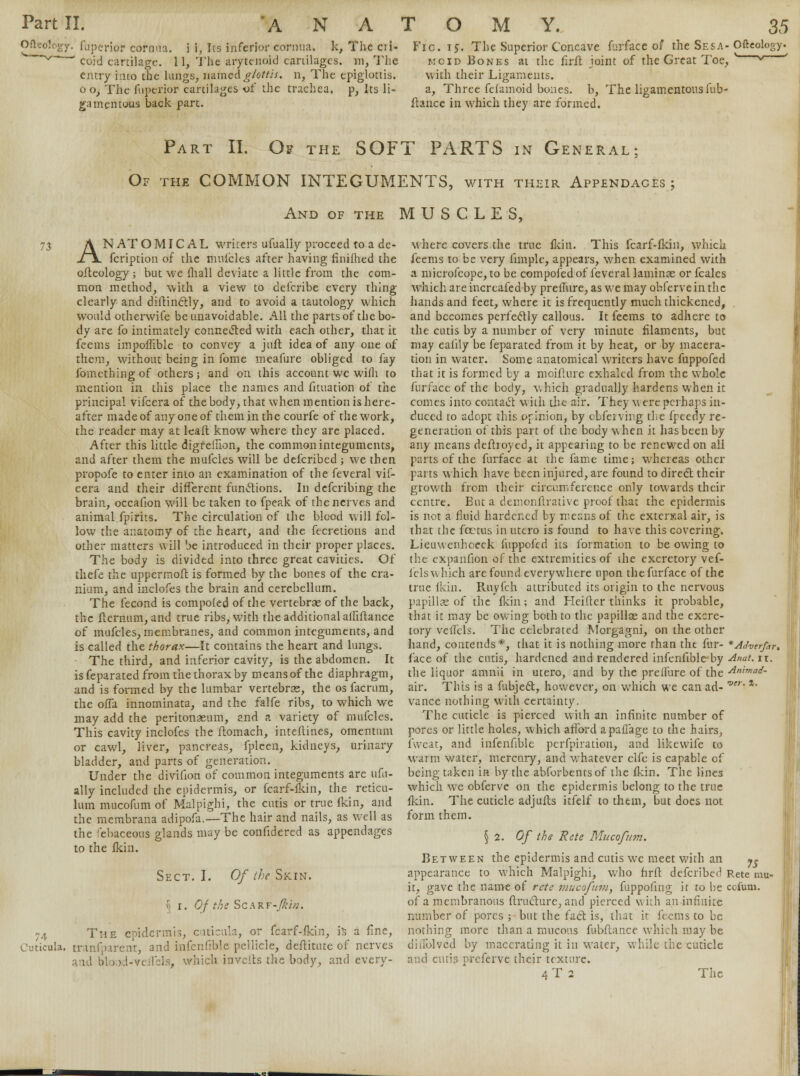 Ofteology. fuperior corona, i i, Its inferior corona, k, The cii- ^ ' coid cartilage. 11, The arytenoid cartilages, m, The entry into the kings, named glottis, n, The epiglottis, o o, The fnperior cartilages o£ the trachea, p, Its li- gamentous back part. Fie. 15. The Superior Concave furface of the Sesa- Ofteology. moid Bones at the firft joint of the Great Toe, ' * with their Ligaments. a, Three fcfamoid bones, b, The ligamentous fub- ftance in which they are formed. Part II. Of the SOFT PARTS in General; Of the COMMON INTEGUMENTS, with their Appendages; And of the MUSCLES, 73 A NATOMICAL writers ufually proceed to a dc- ii. fcription of the mulcles after having finifhed the ofteology ; but we mall deviate a little from the com- mon method, with a view to defcribe every thing clearly and diftinctly, and to avoid a tautology which would otherwife be unavoidable. All the parts of the bo- dy are fo intimately connected with each other, that it feems impoffible to convey a juft idea of any one of them, without being in fome meafure obliged to fay fomething of others ; and on this account wc wifli to mention in this place the names and fituation of the principal vifcera of the body, that when mention is here- after made of any one of them in the courfe of the work, the reader may at leaft know where they arc placed. After this little digfefnon, the common integuments, and after them the mufcies will be defcribed ; we then propofe to enter into an examination of the feveral vif- cera and their different functions. In defcribing the brain, occafion will be taken to fpeak of the nerves and animal fpirits. The circulation of the blood will fol- low the anatomy of the heart, and the fecretions and other matters will be introduced in their proper places. The body is divided into three great cavities. Of thefe the uppermoft is formed by the bones of the cra- nium, and inclofes the brain and cerebellum. The fecond is compofed of the vertebrae of the back, the flernum, and true ribs, with the additional aififtance of mufcies, membranes, and common integuments, and is called the thorax—It contains the heart and lungs. The third, and inferior cavity, is the abdomen. It is feparated from the thorax by means of the diaphragm, and is formed by the lumbar vertebras, the os facrum, the offa innominata, and the falfe ribs, to which we may add the peritonaeum, and a variety of mufcies. This cavity inclofes the flomach, inteflines, omentum or cawl, liver, pancreas, fpleen, kidneys, urinary bladder, and parts of generation. Under the divifion of common integuments arc ufu- ally included the epidermis, or fcarf-fkin, the reticu- lum mucofum of Malpighi, the cutis or true (kin, and the membrana adipofa,—The hair and nails, as well as the 'ebaceous glands may be confidered as appendages to the fkiu. Sect. I. Of the Skin. \ 1. Of the Sc.\KT-Jki>2. 74 The epidermis, cuticitla, or fcarf-fkin, is a fine, Cuticula. trmf-urent, and infenfible pellicle, deflitute of nerves and blood-veffete, which inverts the body, and every- w here covers the true fkin. This fcarf-fkin, which feems to be very fimple, appears, when examined with a microfcope, to be compofed of feveral laminae or fcalcs which are incrcafed by pretlure, as we may obfervein the hands and feet, where it is frequently much thickened, and becomes perfectly callous. It feems to adhere to the cutis by a number of very minute filaments, but may eafily be feparated from it by heat, or by macera- tion in water. Some anatomical writers have fuppofed that it is formed by a moifture exhaled from the whole furface of the body, which gradually hardens when it comes into contact with the air. They were perhaps in- duced to adopt this opinion, by cbfeiving the fpcedy re- generation of this part of the body when it has been by any means defhoyed, it appearing to be renewed on all parts of the furface at the fame time; whereas other parts which have been injured, are found to direct their growth from their circumference only towards their centre. But a demonftrative proof that the epidermis is not a fluid hardened by means of the external air, is that the fectus in utero is found to have this covering. Lieuwenhceck fuppofed its formation to be owing to the expanfion of the extremities of the excretory vef- felswhich are found everywhere upon the furface of the true fkin. Rnyfch attributed its origin to the nervous papillae of the fkin; and Heifler thinks it probable, that it may be owing both to the papillae and the excre- tory veffels. The celebrated Morgagni, on the other hand, contends*, that it is nothing more than the fur- *Adverfar. face of the cutis, hardened and rendered infenfible-by Anat. it. the liquor amnii in utero, and by the preflure of the Animad- air. This is a fubject, however, on which we can ad- ver' %m vance nothing with certainty. The cuticle is pierced with an infinite number of pores or little holes, which afford apaflage to the hairs, lweat, and infenfible pcrfpiration, and likewife to warm water, mercury, and whatever elfe is capable of being taken in by the abforbentsof the fkin. The lines which wc obferve on the epidermis belong to the true fkin. The cuticle adjufts itfelf to them, but does not form them. 2. Of the Rete Mucofum. Between the epidermis and cutis we meet with an 75 appearance to which Malpighi, who firfl defcribed Rete mu- it, gave the name of rete mucofum, fuppofing it to be cofum. of a membranous ftructure, and pierced with an infinite number of pores ; but the fact is, that it feems to be nothing more than a mucous fubftance which may be diflblved by macerating it in water, while the cuticle and enris nreferve their texture. 4 T 2 The