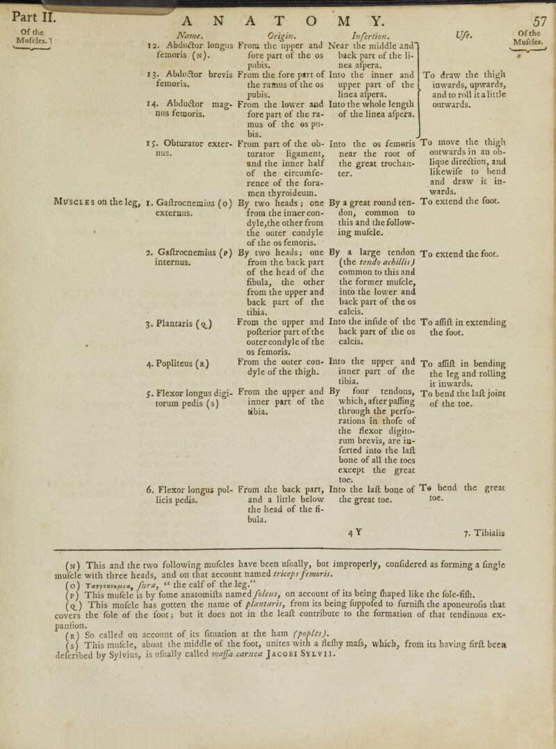 Name. 12. Abductor longus femoris (n). 13. Abdu<5tor brevis femoris. 14. Abductor mag- nus femoris. IS- Obturator exter- nus. Muscles on the leg, 1. Gastrocnemius (o) externus. 2. Gaflrocnemius (p) internus. 3. Plantaris (qJ 4. Popliteus (r) 5. Flexor longus digi- torum pedis (s) Origin. From, the upper and fore part of the os pubis. From the fore part of the ramus of the 03 pubis. From the lower and fore part of the ra- mus of the as pu- bis. From part of the ob- turator ligament, and the inner half of the circumfe- rence of the fora- men thyroideum. By two heads ; one from the inner con- dyle,the other from the outer condyle of the os femoris. ■ By two heads; one from the back part of the head of the fibula, the other from the upper and back part of the tibia. From the upper and poflerior part of the outer condyle of the os femoris. From the outer con- dyle of the thigh. From the upper and inner part of the tibia. Jjifertion. Near the middle and back part of the li- nea afpera. Into the inner and upper part of the linea afpera. Into the whole length 1 of the linea afpera. I Ufe. To draw the thigh inwards, upwards, and to roll it a little outwards. Into the os femoris To move the thigh near the root of outwards in an ob- lique direction, and likewife to bend and draw it in- wards. To extend the foot. 6. Flexor longus pol- licis pedis. From the back part, and a little below the head of the fi- bula. root the great trochan- ter. By a great round ten- don, common to this and the follow- ing mufcle. By a large tendon To extend the foot. (the tendo acbillis) common to this and the former mufcle, into the lower and back part of the os calcis. Into the infide of the To affift in extending back part of the os the foot. calcis. Into the upper and To affift in bending inner part of the tne lcg ami romng tl'3ia' it inwards. By four tendons, To bend the laft joint which, afterpafling 0f tnc toe. through the perfo- rations in thofe of the flexor digito- rum brevis, are in- ferted into the laft bone of all the toes except the great toe. Into the laft bone of T© bend the great the great toe. toe- 4Y 7. Tibialis (n) This and the two following mufcles have been ufually, but improperly, considered as forming a fingle mufcle with three heads, and on that account named triceps femoris. (o) Taypoxva^/a, fur a,  the calf of the leg. (p) This mufcle is by fome anatomifts named fo/eus, on account of its being fhaped like the fole-fifh. (q_) This mufcle has gotten the name of plantaris, from its being fuppofed to furnifh the aponeurosis that covers the fole of the foot; but it does not in the leaft contribute to the formation of that tendinous ex- pansion. (r) So called on account of its Situation at the ham (poples). (s) This mufcle, about the middle of the foot, unites with a fleShy mafs, which, from its having firft beea described by Sylvius, is ufually called majja carnea Jacoei Sylvii.