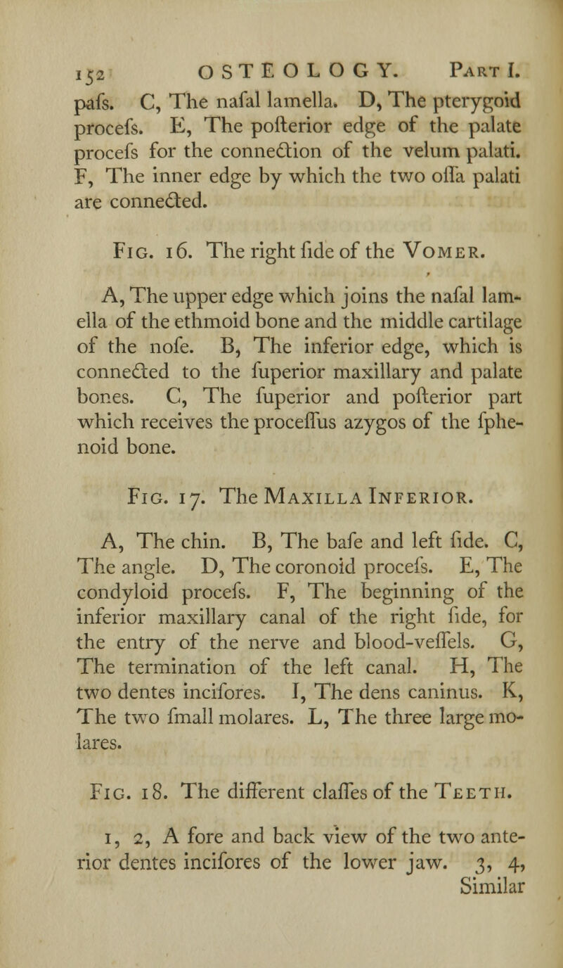 pafs. C, The nafal lamella. D, The pterygoid procefs. E, The pofterior edge of the palate procefs for the connection of the velum palati. F, The inner edge by which the two oifa palati are connected. Fig. i6. The right fide of the Vomer. A, The upper edge which joins the nafal lam- ella of the ethmoid bone and the middle cartilage of the nofe. B, The inferior edge, which is connected to the fuperior maxillary and palate bones. C, The fuperior and pofterior part which receives the proceffus azygos of the fphe- noid bone. Fig. 17. The Maxilla Inferior. A, The chin. B, The bafe and left fide. C, The angle. D, The coronoid procefs. E, The condyloid procefs. F, The beginning of the inferior maxillary canal of the right fide, for the entry of the nerve and blood-veffels. G, The termination of the left canal. H, The two dentes incifores. I, The dens caninus. K, The two fmall molares. L, The three large mo- lares. Fig. 18. The different claffes of the Teeth. 1, 2, A fore and back view of the two ante- rior dentes incifores of the lower jaw. 3, 4, Similar