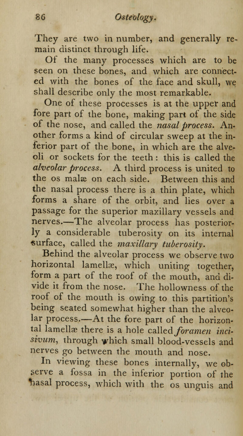 They are two in number, and generally re- main distinct through life. Of the many processes which are to be seen on these bones, and which are connect- ed with the bones of the face and skull, we shall describe only the most remarkable. One of these processes is at the upper and fore part of the bone, making part of the side of the nose, and called the nasal process. An- other forms a kind of circular sweep at the in- ferior part of the bone, in which are the alve- oli or sockets for the teeth: this is called the alveolar process. A third process is united to the os mala on each side. Between this and the nasal process there is a thin plate, which forms a share of the orbit, and lies over a passage for the superior maxillary vessels and nerves.—The alveolar process has posterior- ly a considerable tuberosity on its internal surface, called the maxillary tuberosity. Behind the alveolar process we observe two horizontal lamellae, which uniting together, form a part of the roof of the mouth, and di- vide it from the nose. The hollowness of the roof of the mouth is owing to this partition's being seated somewhat higher than the alveo- lar process.—At the fore part of the horizon- tal lamellae there is a hole called foramen inci- sivum, through which small blood-vessels and nerves go between the mouth and nose. In viewing these bones internally, we ob- serve a fossa in the inferior portion of the ^)asal process, which with the os unguis and