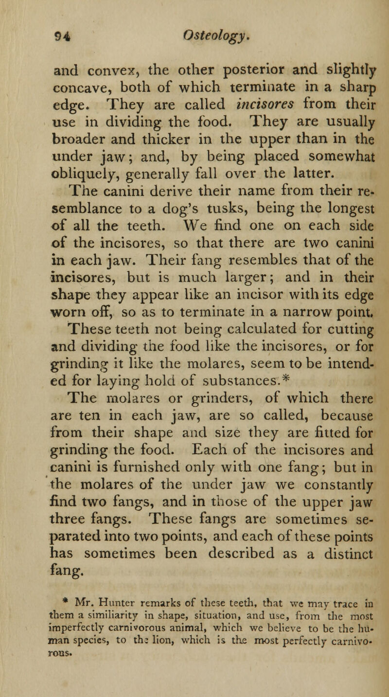 and convex, the other posterior and slightly concave, both of which terminate in a sharp edge. They are called incisores from their use in dividing the food. They are usually broader and thicker in the upper than in the under jaw; and, by being placed somewhat obliquely, generally fall over the latter. The canini derive their name from their re- semblance to a dog's tusks, being the longest of all the teeth. We find one on each side of the incisores, so that there are two canini in each jaw. Their fang resembles that of the incisores, but is much larger; and in their shape they appear like an incisor with its edge worn off, so as to terminate in a narrow point. These teeth not being calculated for cutting and dividing the food like the incisores, or for grinding it like the molares, seem to be intend- ed for laying hold of substances.* The molares or grinders, of which there are ten in each jaw, are so called, because from their shape and size they are fitted for grinding the food. Each of the incisores and canini is furnished only with one fang; but in the molares of the under jaw we constantly find two fangs, and in those of the upper jaw three fangs. These fangs are sometimes se- parated into two points, and each of these points has sometimes been described as a distinct fang. * Mr. Hunter remarks of these teeth, that we may trace in them a similiarity in shape, situation, and use, from the most imperfectly carnivorous animal, which we believe to be the hu- man species, to xhz lion, which is the most perfectly carnivo- rous.