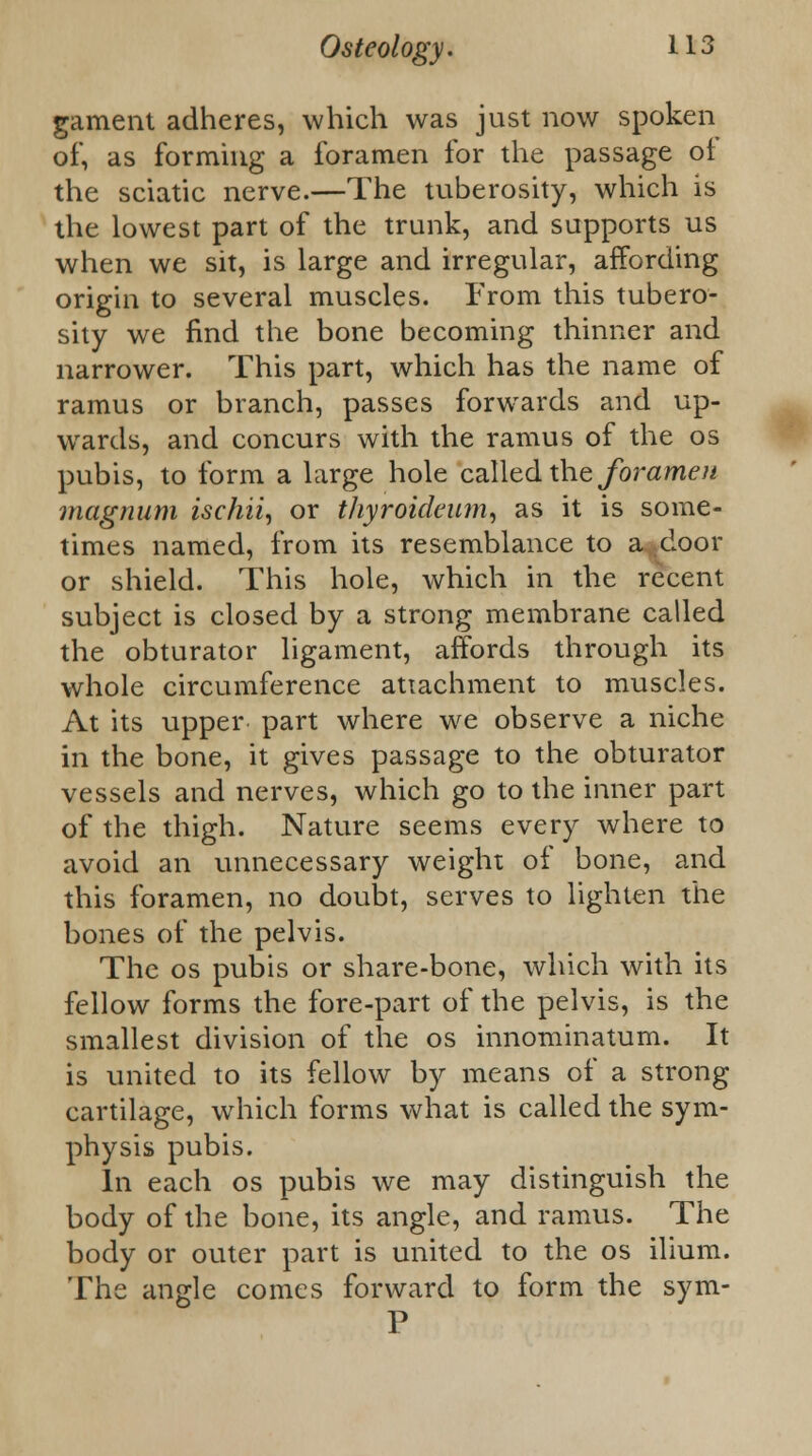 gament adheres, which was just now spoken of, as forming a foramen for the passage of the sciatic nerve.—The tuberosity, which is the lowest part of the trunk, and supports us when we sit, is large and irregular, affording origin to several muscles. From this tubero- sity we find the bone becoming thinner and narrower. This part, which has the name of ramus or branch, passes forwards and up- wards, and concurs with the ramus of the os pubis, to form a large hole called the foramen magnum ischii, or thyroideum, as it is some- times named, from its resemblance to a.(!door or shield. This hole, which in the recent subject is closed by a strong membrane called the obturator ligament, affords through its whole circumference attachment to muscles. At its upper part where we observe a niche in the bone, it gives passage to the obturator vessels and nerves, which go to the inner part of the thigh. Nature seems every where to avoid an unnecessary weight of bone, and this foramen, no doubt, serves to lighten the bones of the pelvis. The os pubis or share-bone, which with its fellow forms the fore-part of the pelvis, is the smallest division of the os innominatum. It is united to its fellow by means of a strong cartilage, which forms what is called the sym- physis pubis. In each os pubis we may distinguish the body of the bone, its angle, and ramus. The body or outer part is united to the os ilium. The angle comes forward to form the sym- P