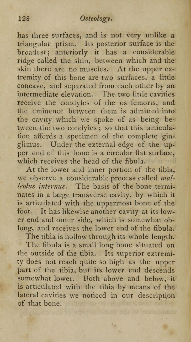 has three surfaces, and is not very unlike a triangular prism. Its posterior surface is the broadest; anteriorly it has a considerable ridge called the shin, between which and the skin there are no muscles. At the upper ex- tremity of this bone are two surfaces, a little concave, and separated from each other by an intermediate elevation. The two little cavities receive the condyles of the os femoris, and the eminence between them is admitted into the cavity which we spoke of as being be- tween the two condyles ; so that this articula- tion affords a specimen of the complete gin- glimus. Under the external edge of the up- per end of this bone is a circular flat surface, which receives the head of the fibula. At the lower and inner portion of the tibia, we observe a considerable process called mal- leolus interims. The basis of the bone termi- nates in a large transverse cavity, by which it is articulated with the uppermost bone of the foot. It has likewise another cavity at its low- er end and outer side, which is somewhat ob- long, and receives the lower end of the fibula. The tibia is hollow through its whole length. The fibula is a small long bone situated on the outside of the tibia. Its superior extremi- ty does not reach quite so high as the upper part of the tibia, but its lower end descends somewhat lower. Both above and below, it is articulated with the tibia by means of the lateral cavities we noticed in our description of that bone.